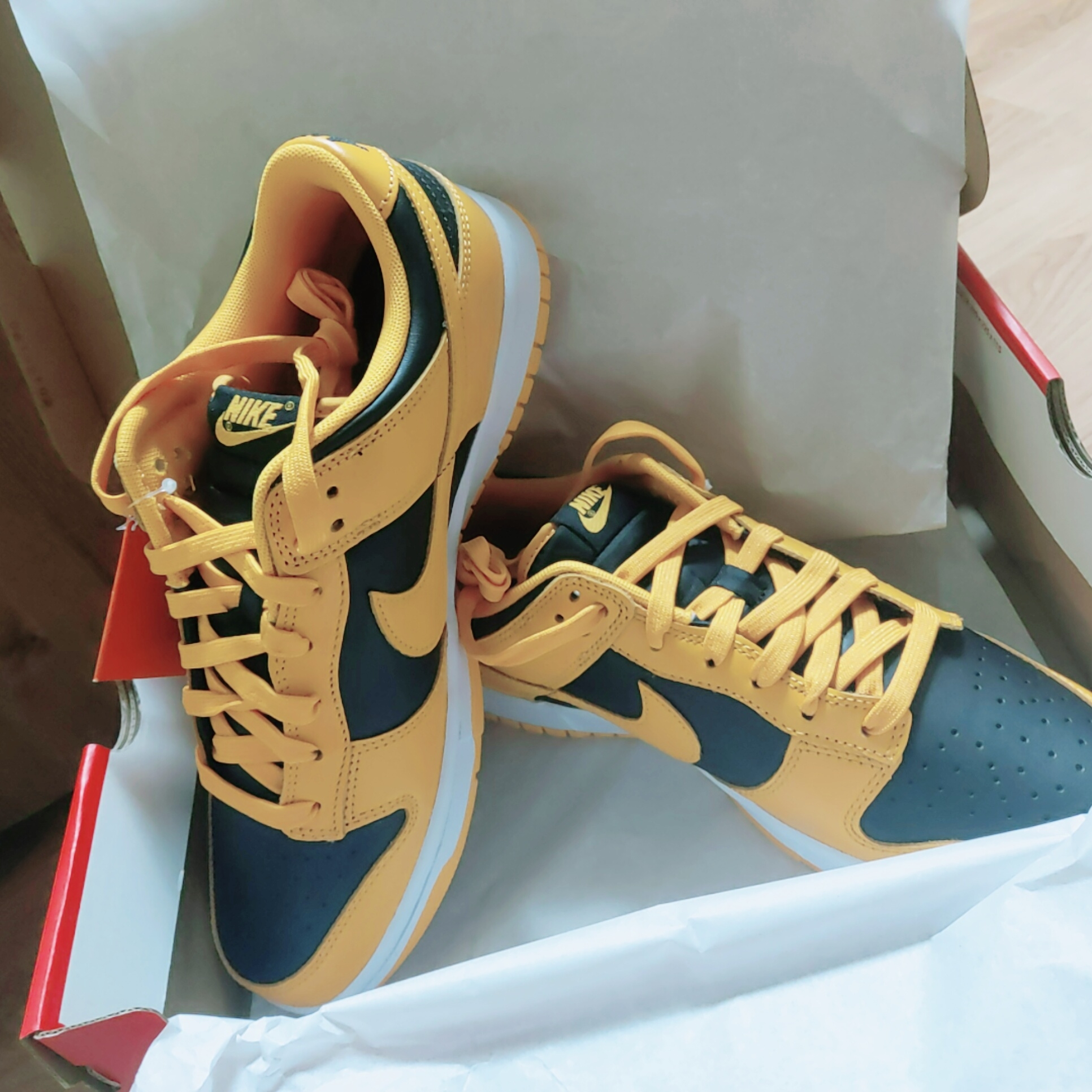 Nike Dunk Low Retro Championship Goldenrod 착용 스타일