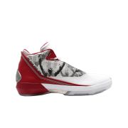 Jordan 22 OG Omega