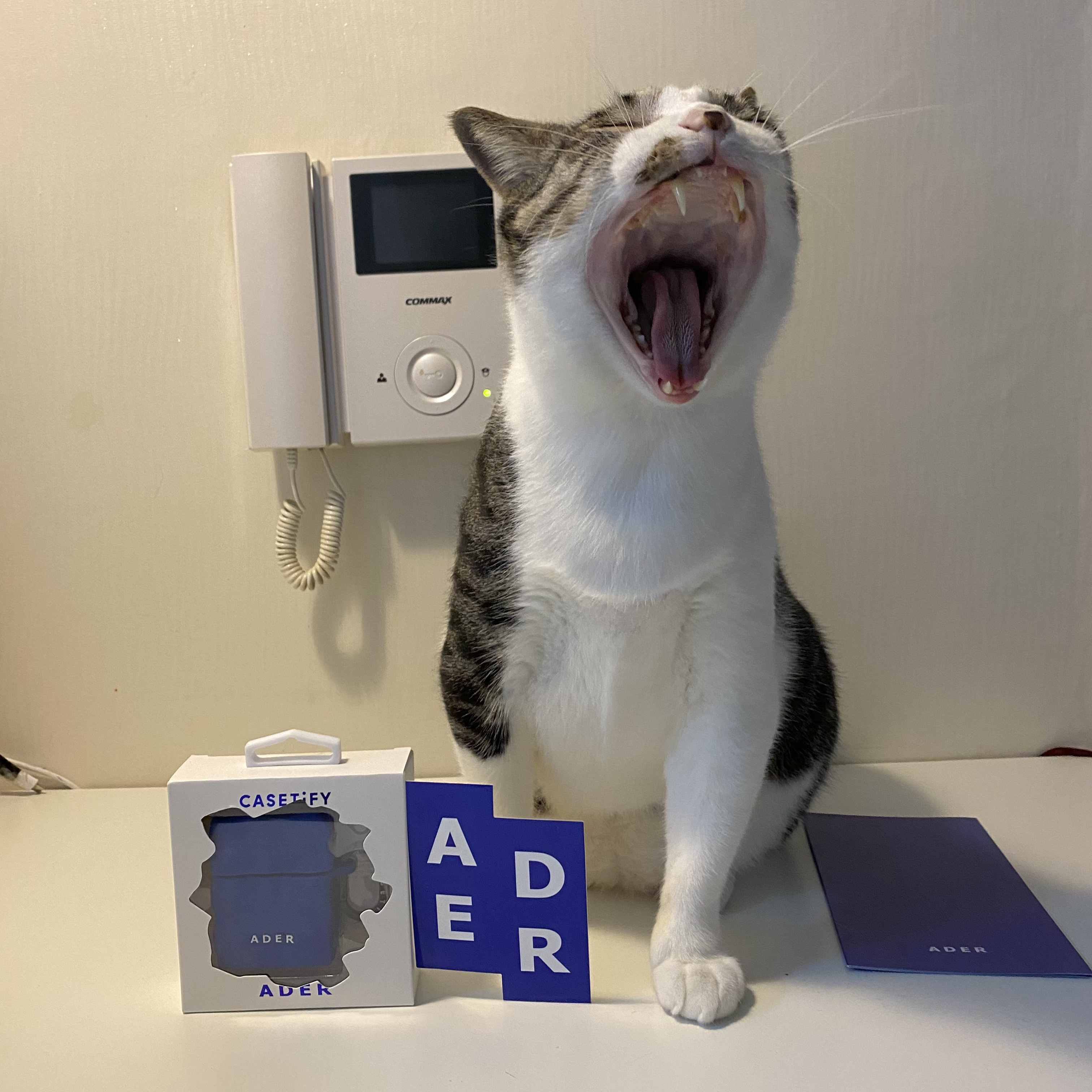 Casetify x Ader Error AirPods Case 착용 스타일 - 1