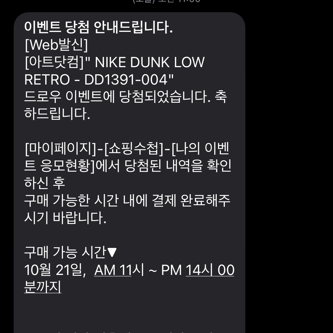 Nike Dunk Low Retro Championship Goldenrod 착용 스타일