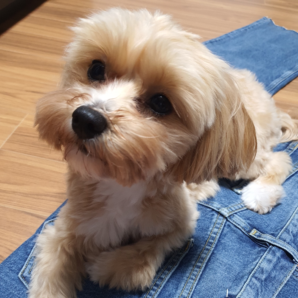 KREAM 프로필 이미지