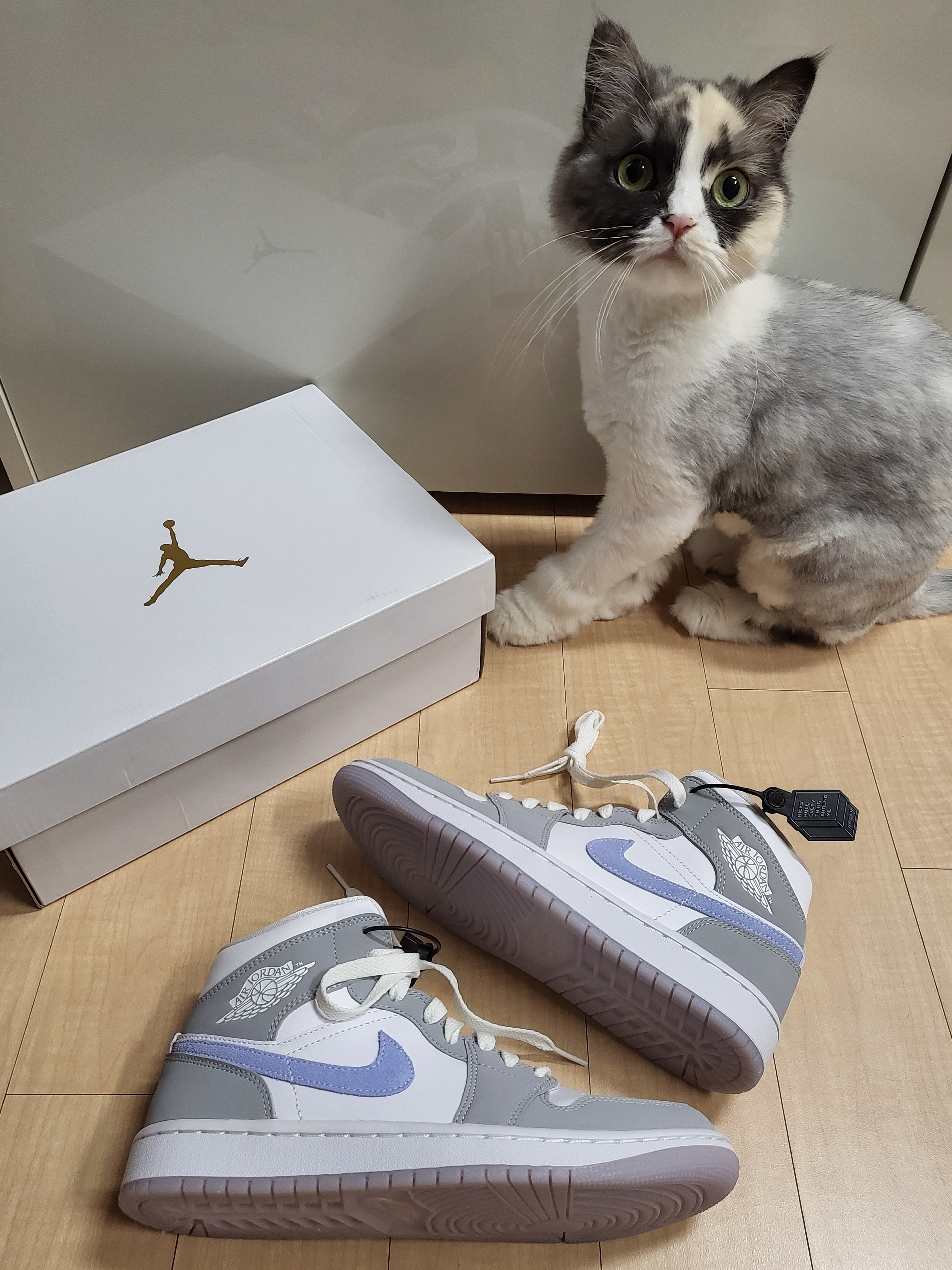 (W) Jordan 1 Mid Wolf Grey 착용 스타일