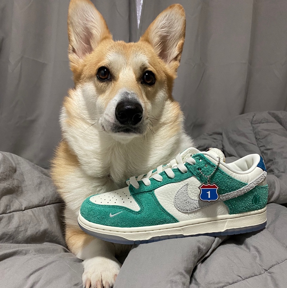 Nike x Kasina Dunk Low Road Sign - Kasina Exclusive 착용 스타일