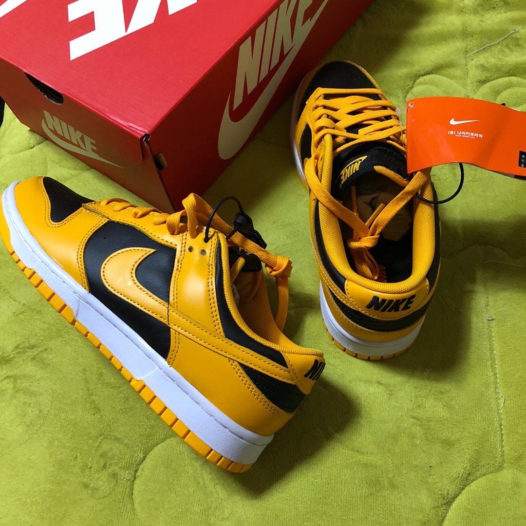 Nike Dunk Low Retro Championship Goldenrod 착용 스타일