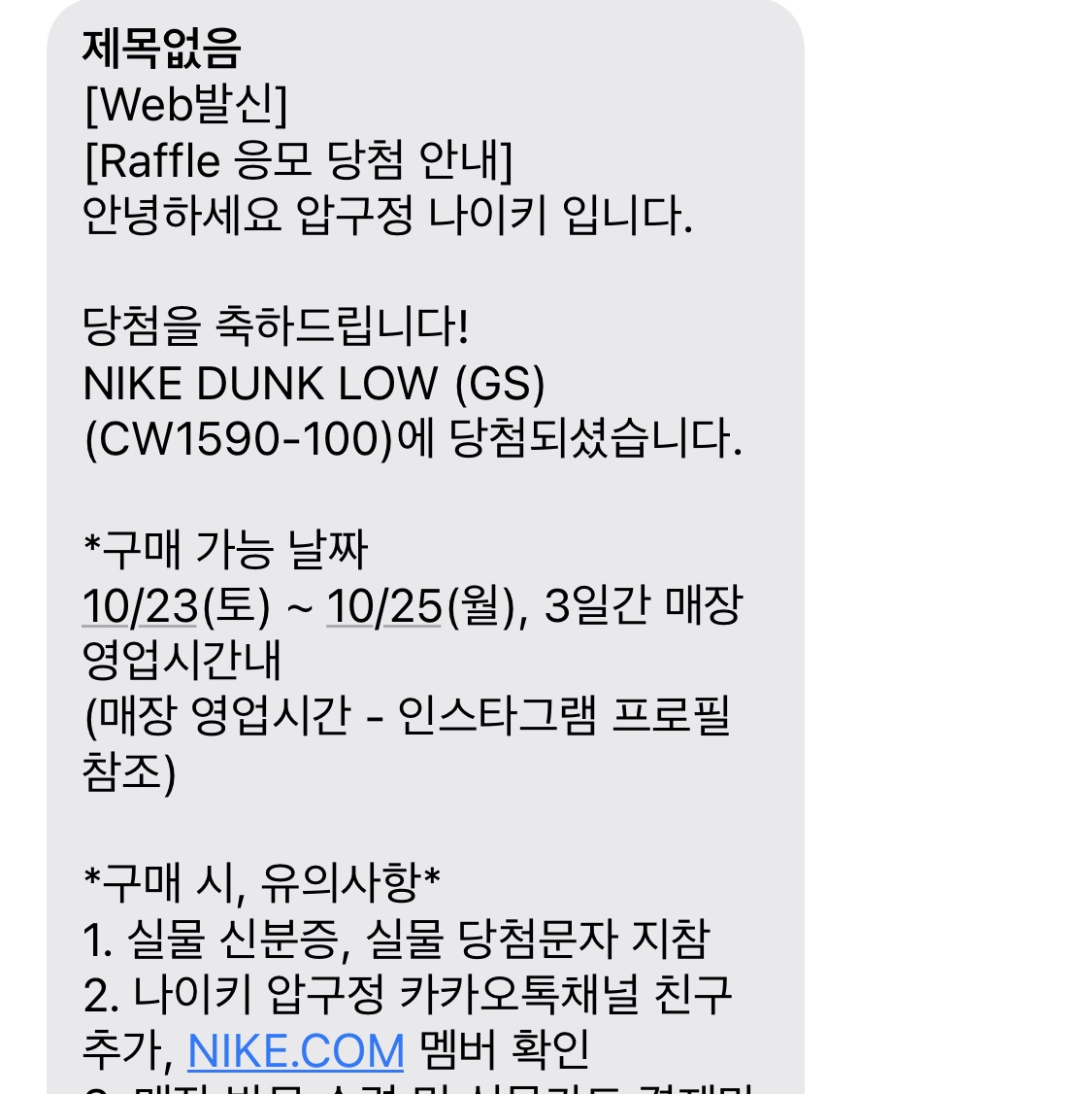 (GS) Nike Dunk Low Black 착용 스타일