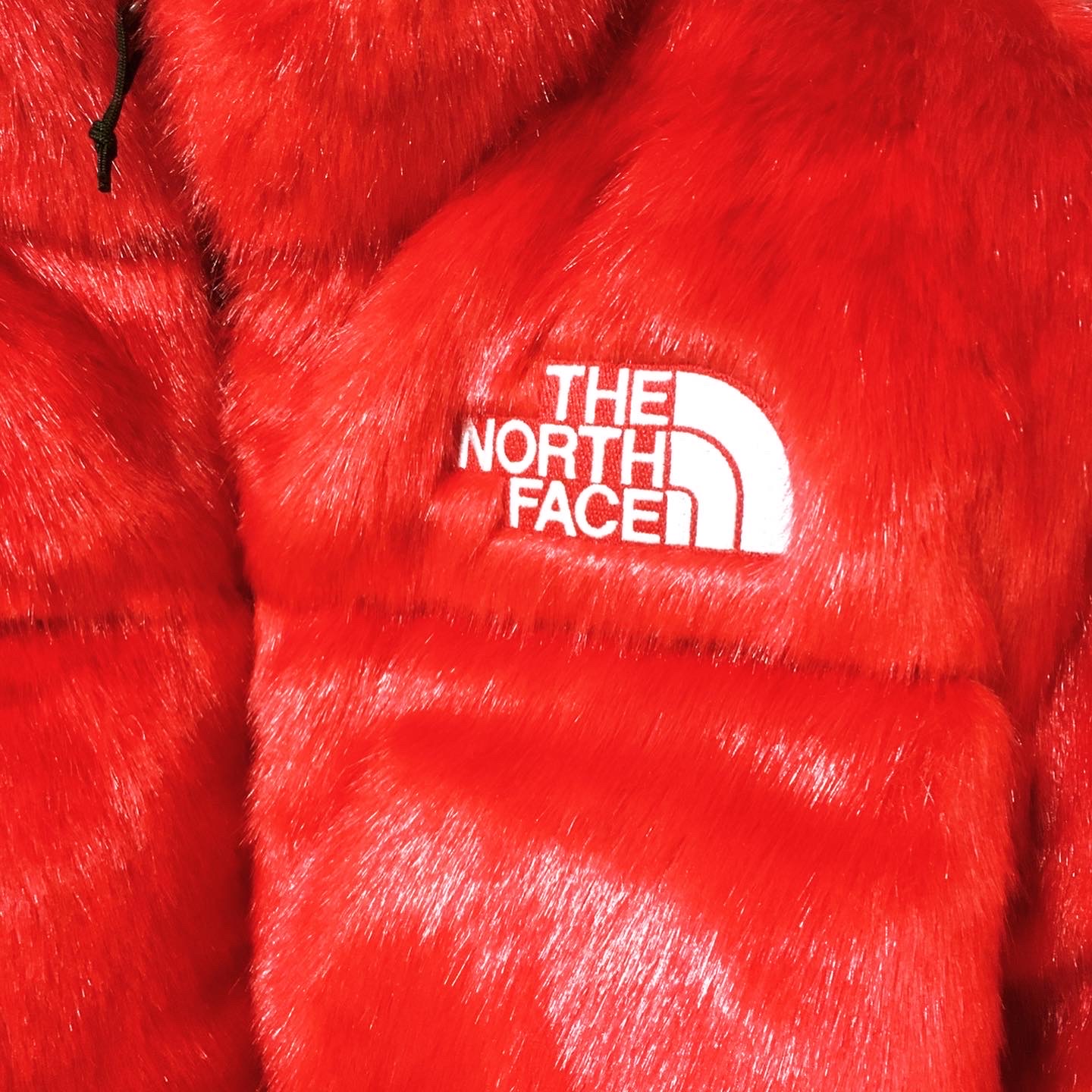Supreme x The North Face Faux Fur Nuptse Jacket Red - 20FW 착용 스타일 - 3