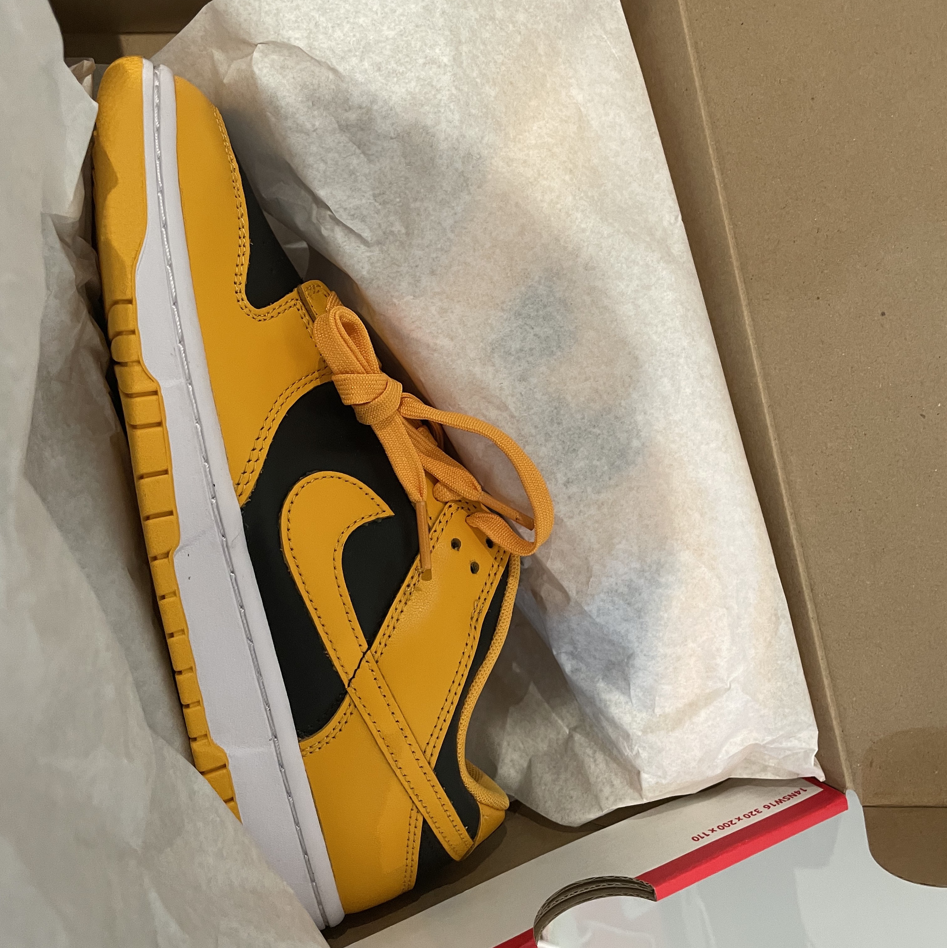 Nike Dunk Low Retro Championship Goldenrod 착용 스타일
