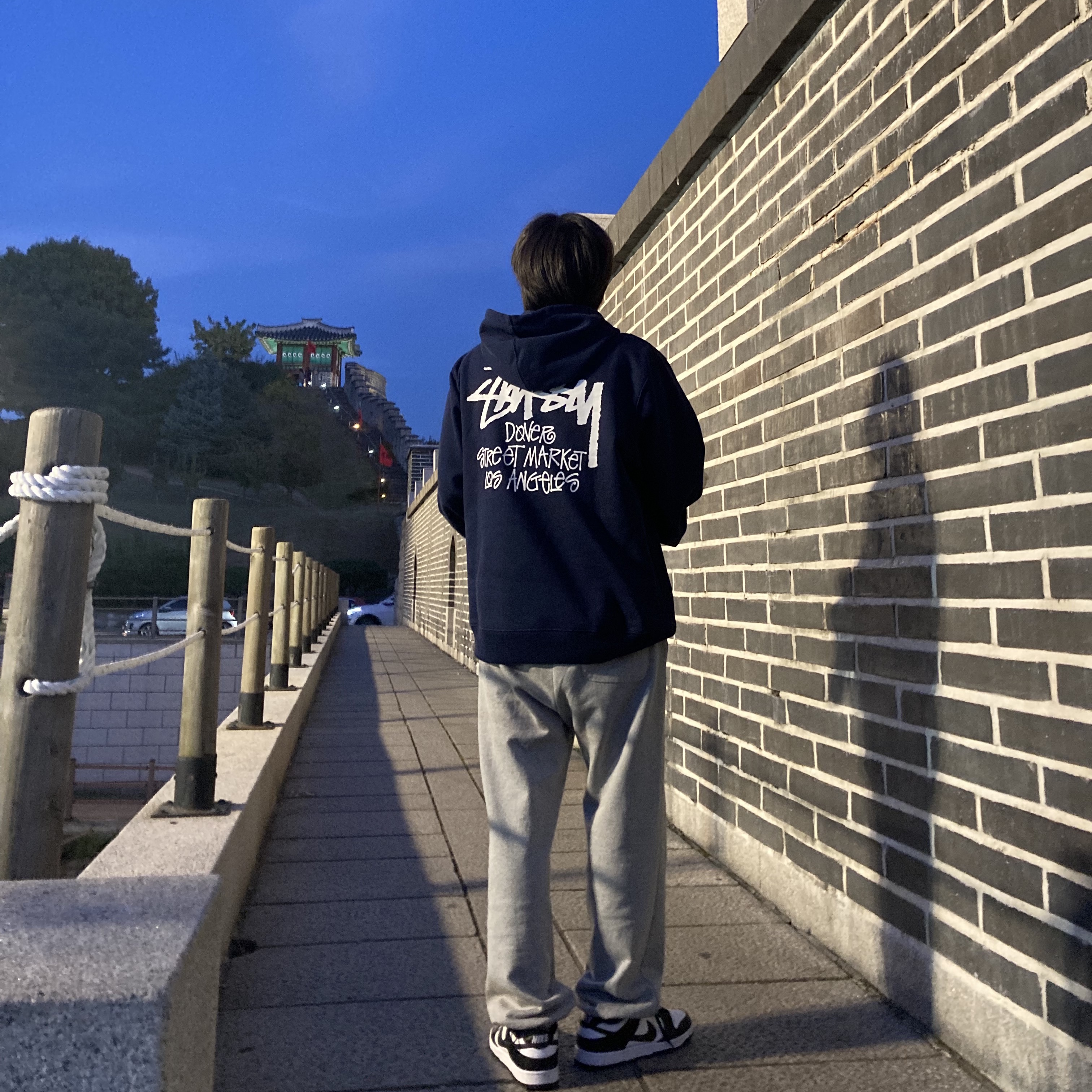 Nike Dunk Low Retro Black, Stussy Stock DSM Los Angeles Hoodie Navy 2021 착용 스타일