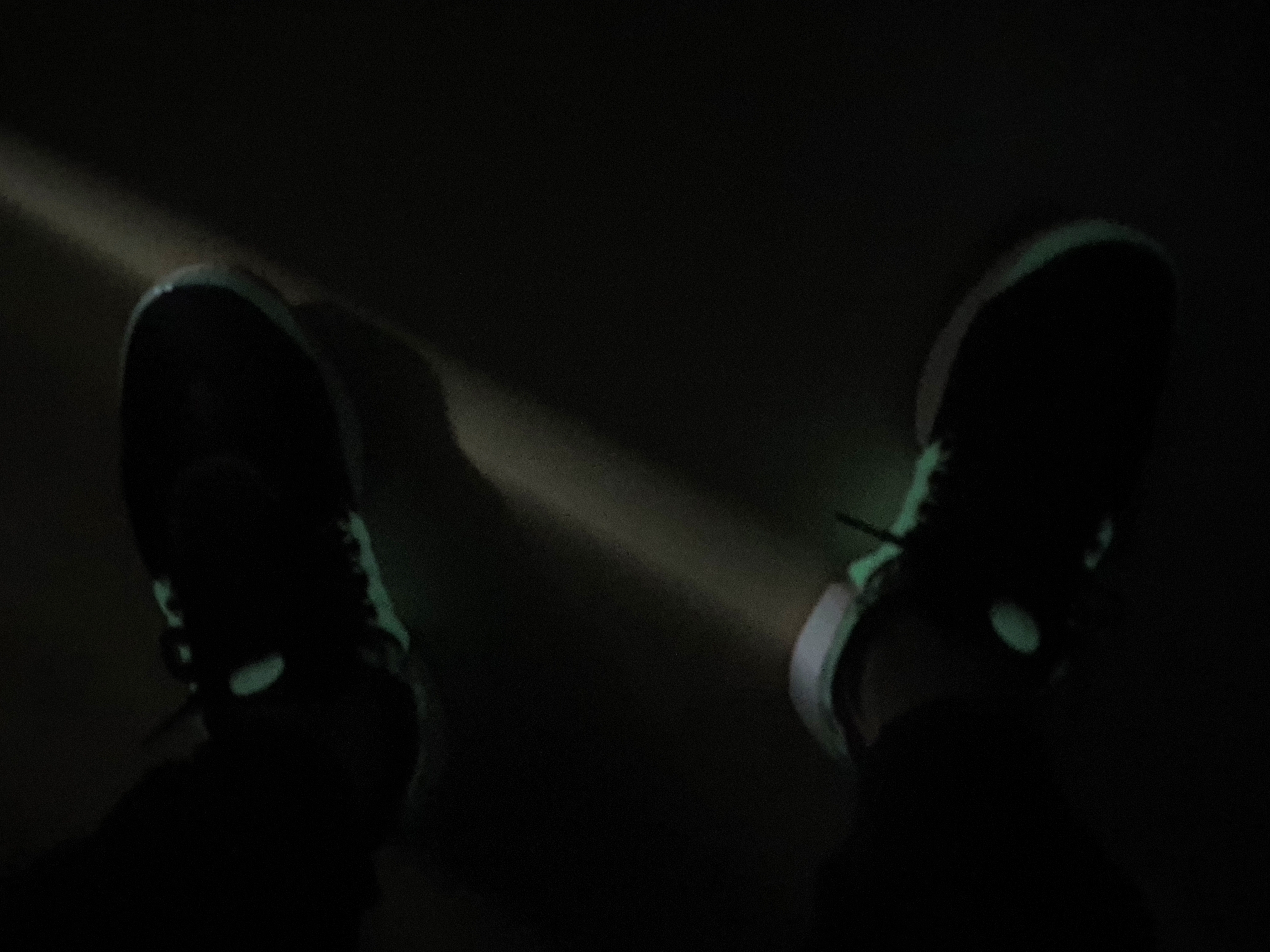 Nike Air Presto PRM Halloween 착용 스타일 - 3