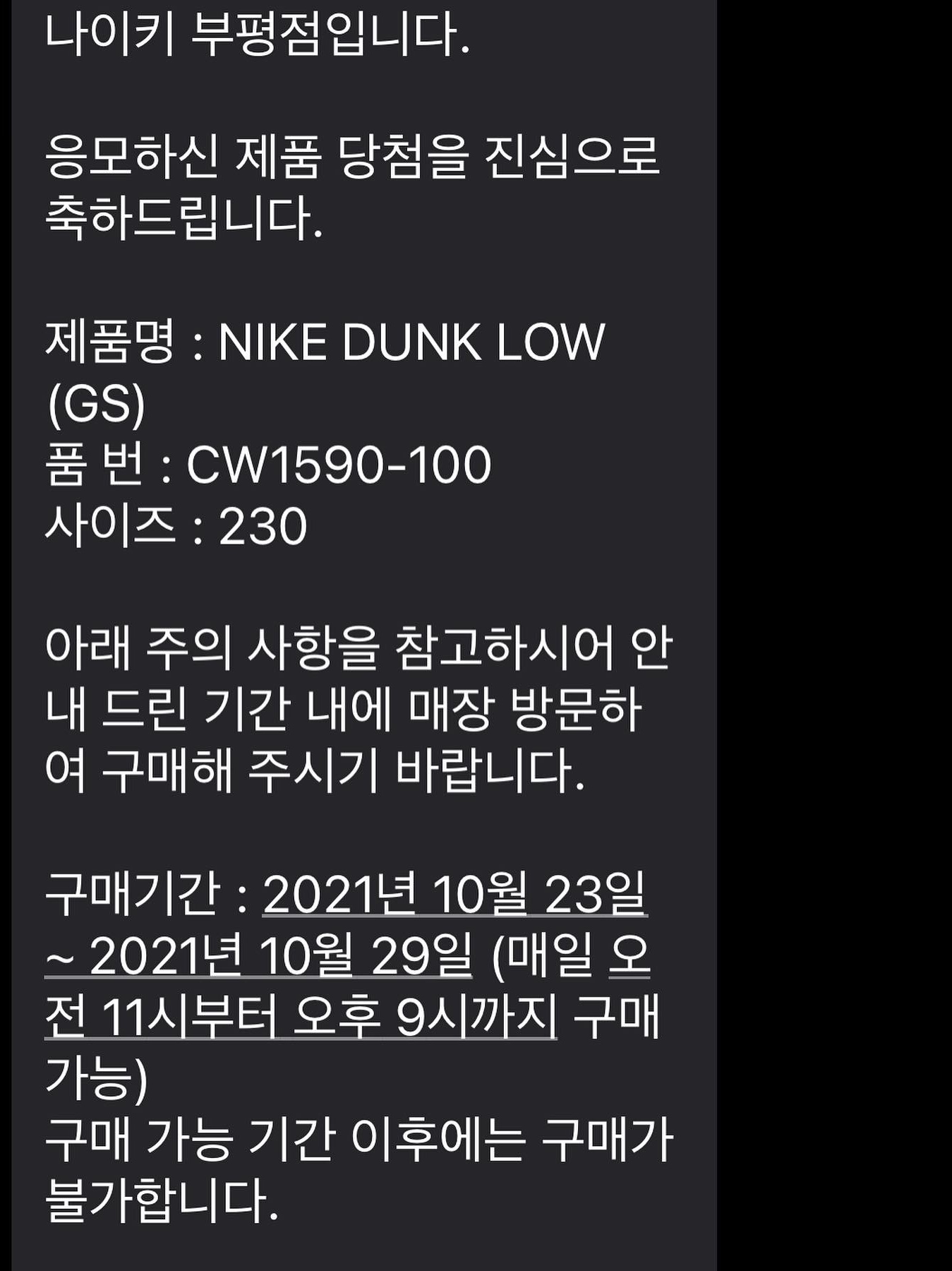 (GS) Nike Dunk Low Black 착용 스타일 - 1