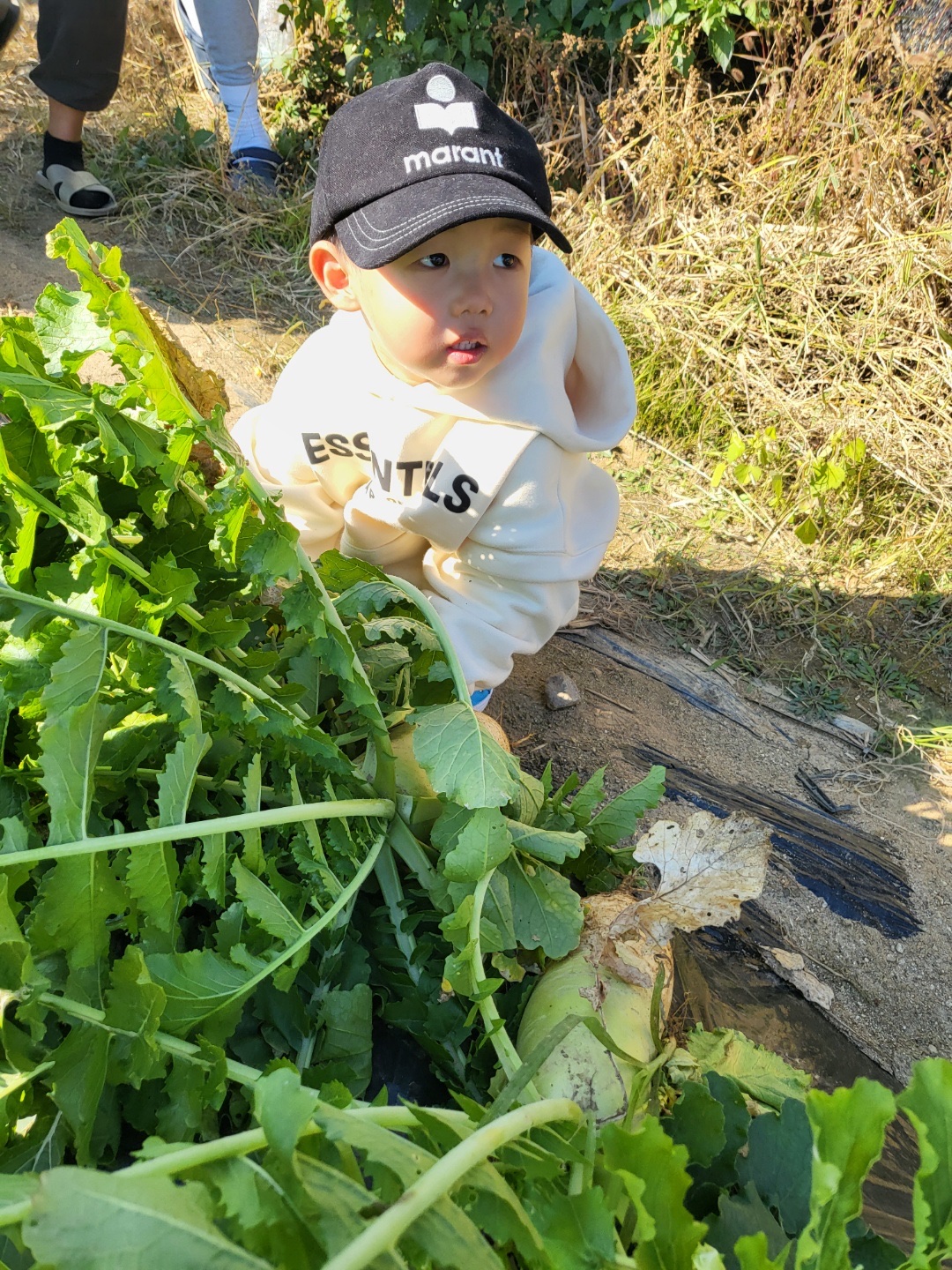 (Kids) Essentials Pull-Over Hoodie Cream - 21SS, (W) Isabel Marant Tyron Cap Black - 21FW 착용 스타일 - 2