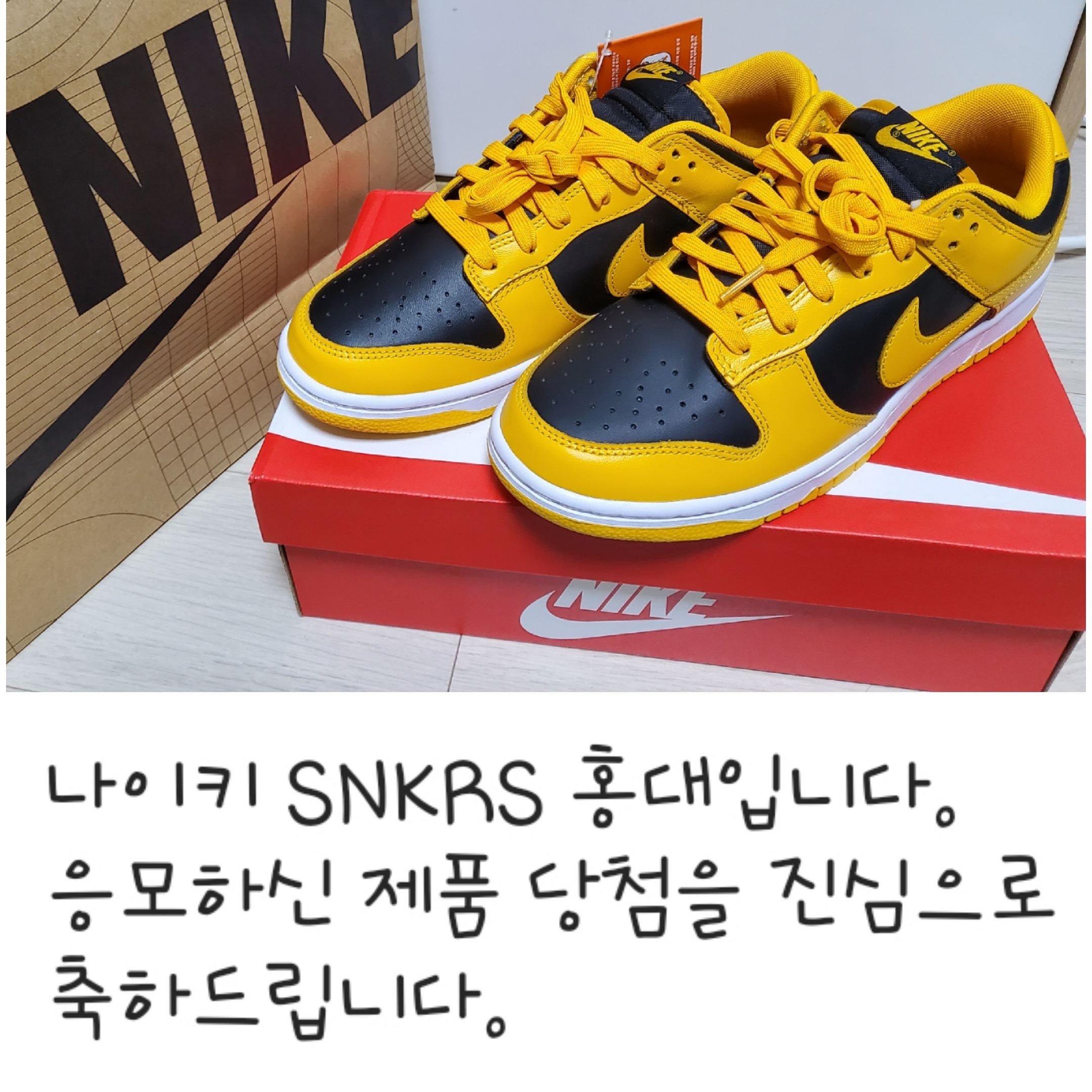 Nike Dunk Low Retro Championship Goldenrod 착용 스타일
