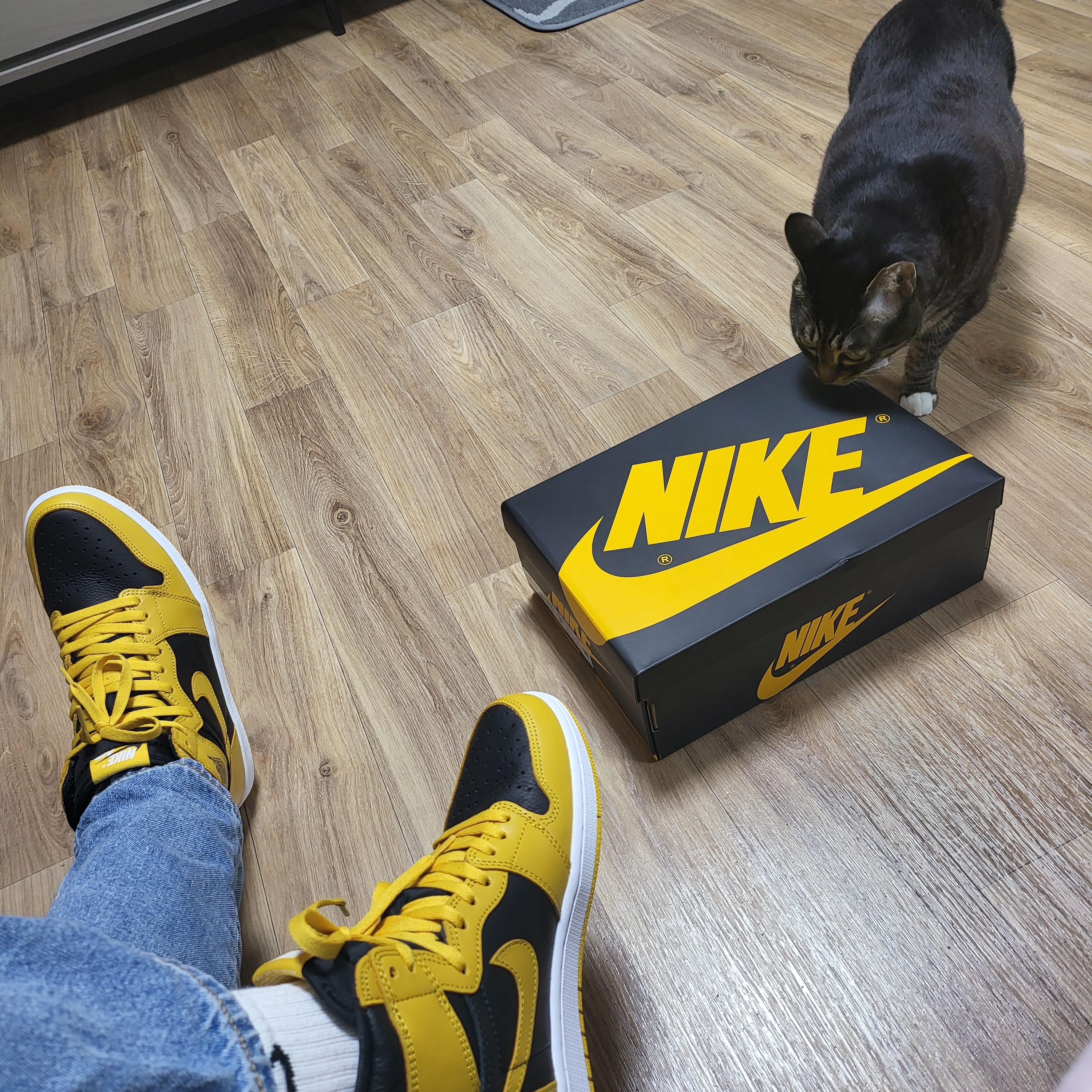 Jordan 1 Retro High OG Pollen 착용 스타일 - 2