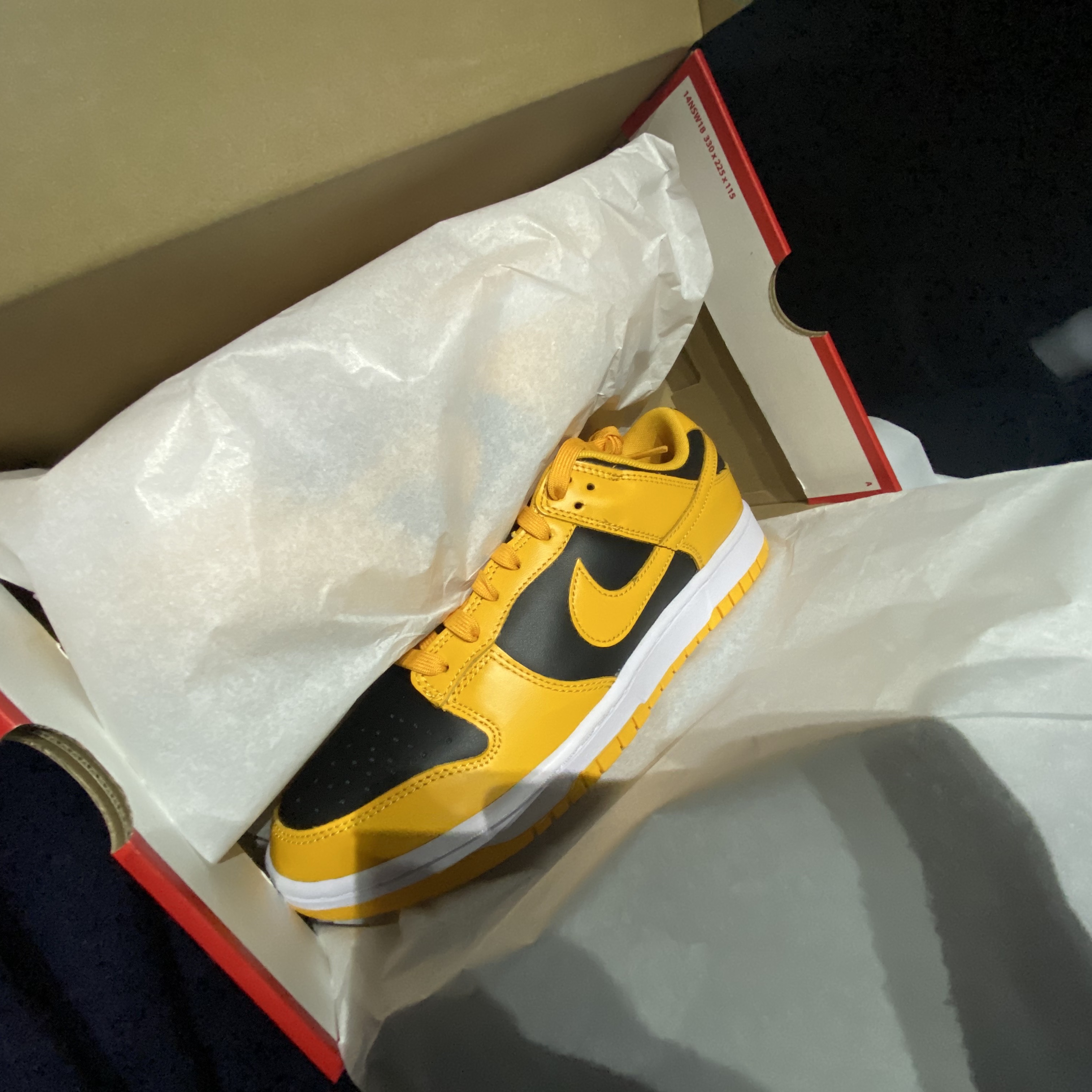 Nike Dunk Low Retro Championship Goldenrod 착용 스타일 - 4