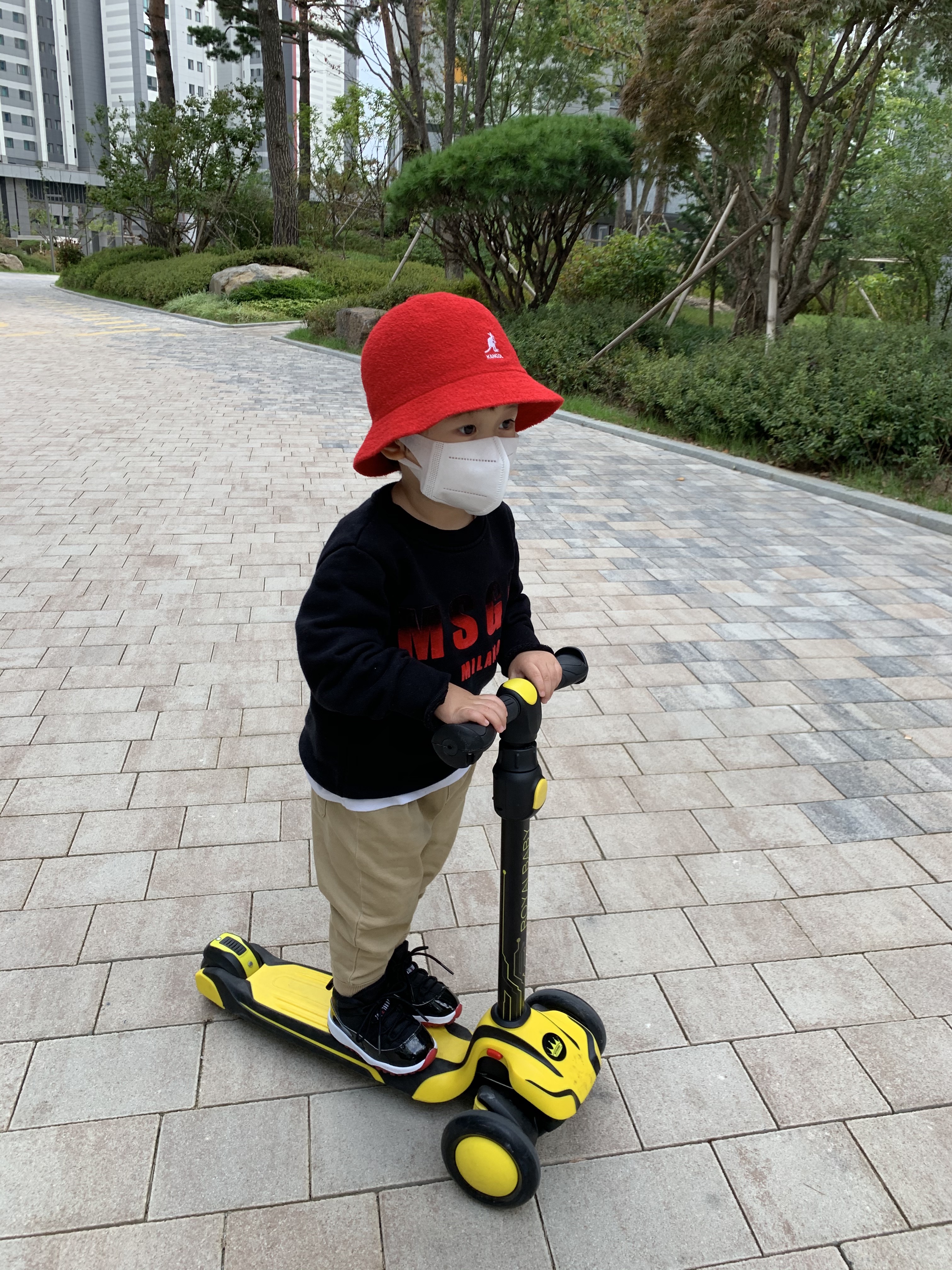 ์์
์ด๋ฏธ์ง