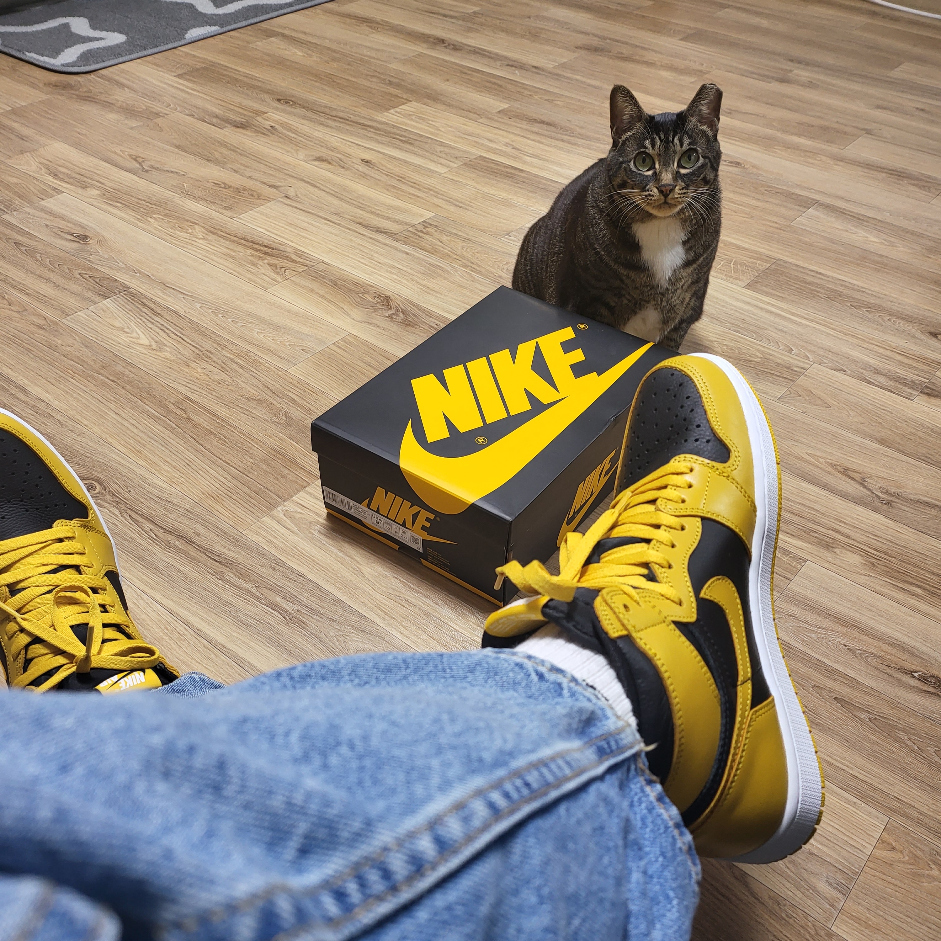Jordan 1 Retro High OG Pollen 착용 스타일 - 1