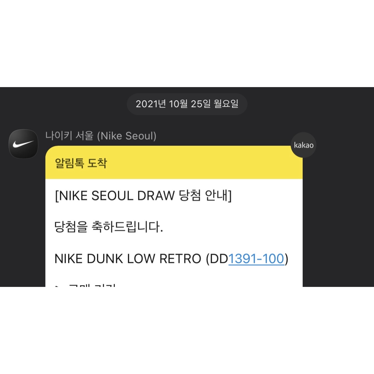 Nike Air Force 1 '07 LV8 EMB Black Silver, Nike Dunk Low Retro Black 착용 스타일 - 2