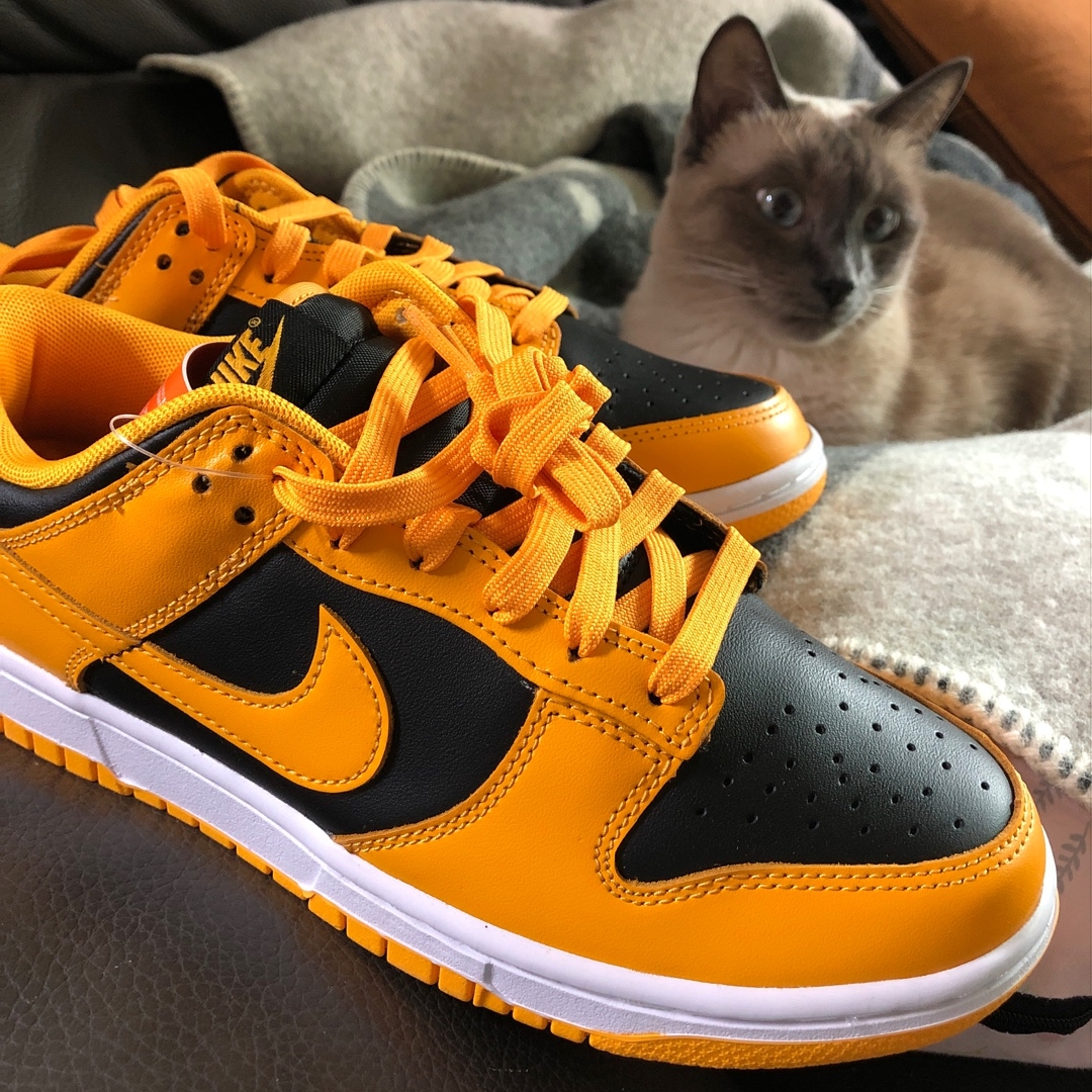 Nike Dunk Low Retro Championship Goldenrod 착용 스타일 - 1