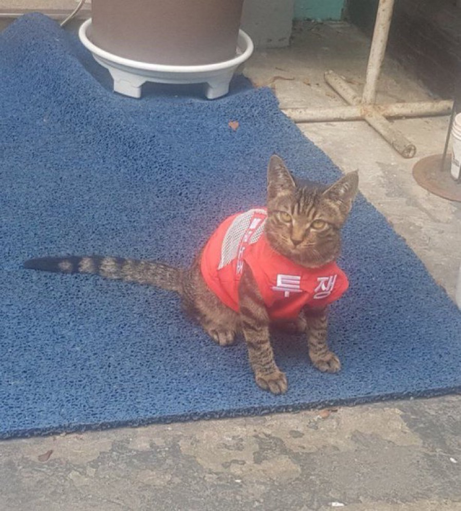 관심 유저 프로필 이미지