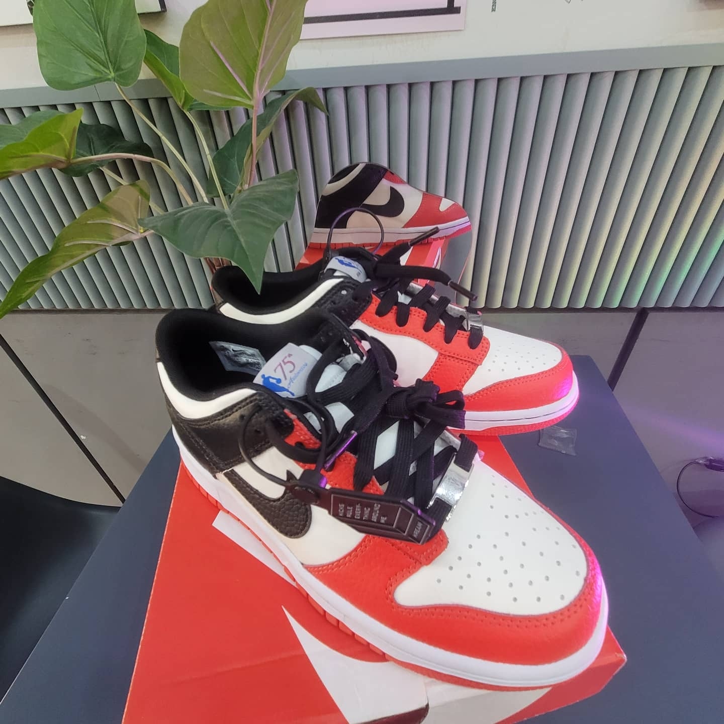 (GS) Nike x NBA Dunk Low Black and Chile Red 착용 스타일 - 3