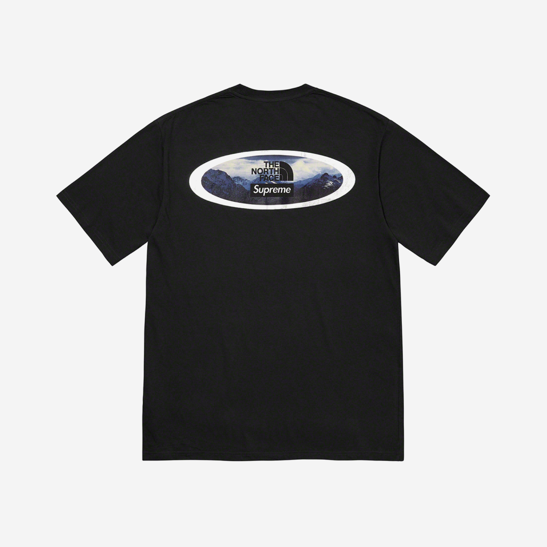 SUPREME The North Face 22SS Bandana online T-SHIRT BLACK M