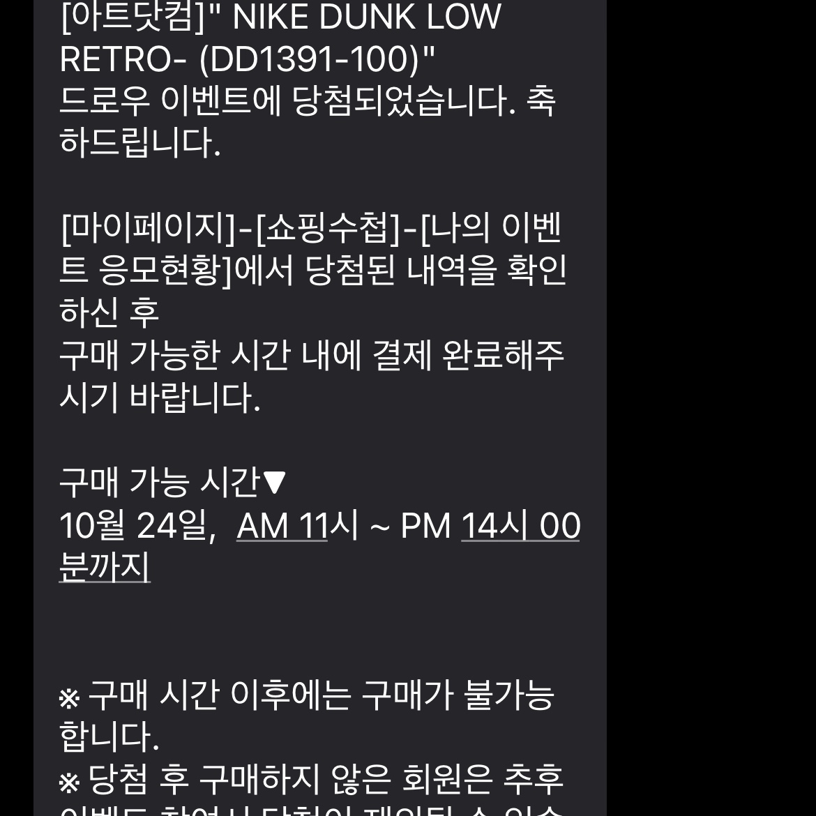 Nike Dunk Low Retro Black 착용 스타일 - 1