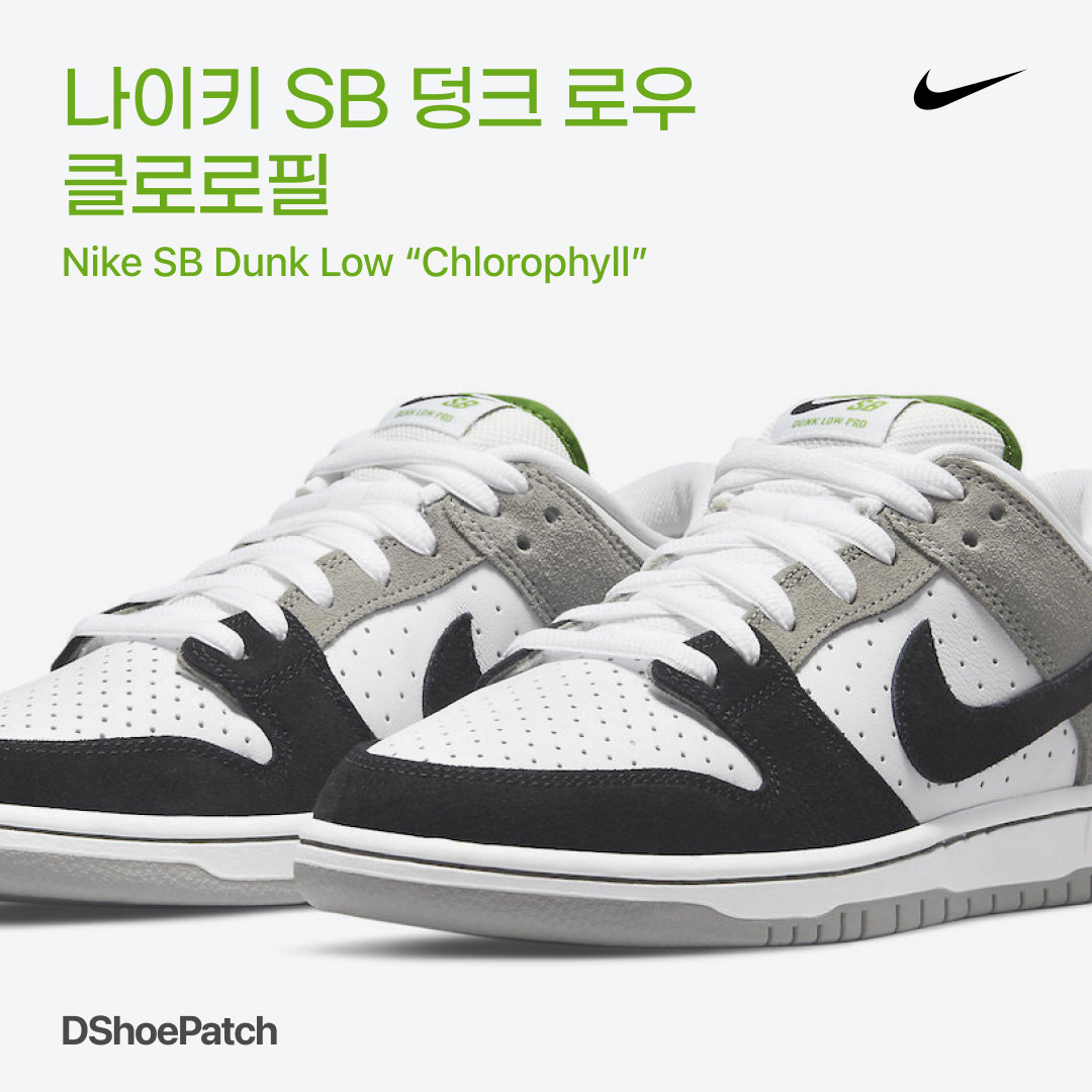 Nike SB Dunk Low Pro Chlorophyll 착용 스타일 - 1