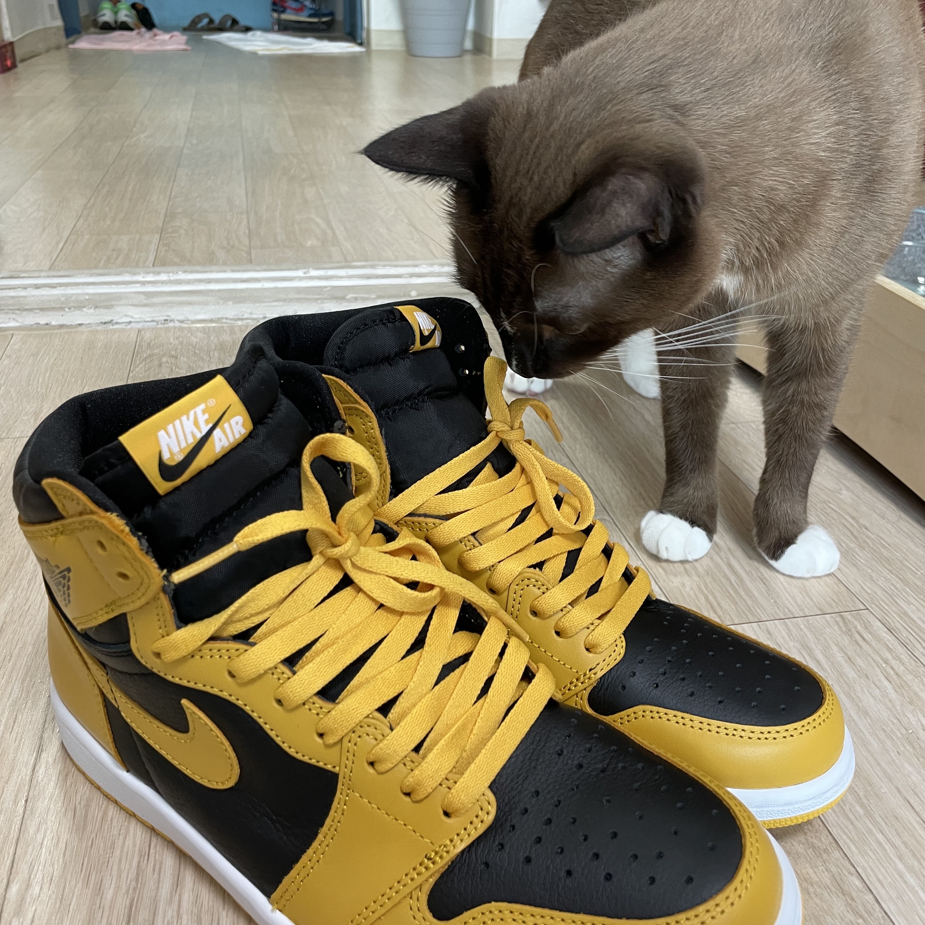 Jordan 1 Retro High OG Pollen 착용 스타일 - 4