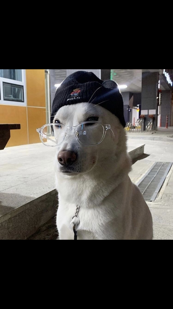 KREAM 프로필 이미지