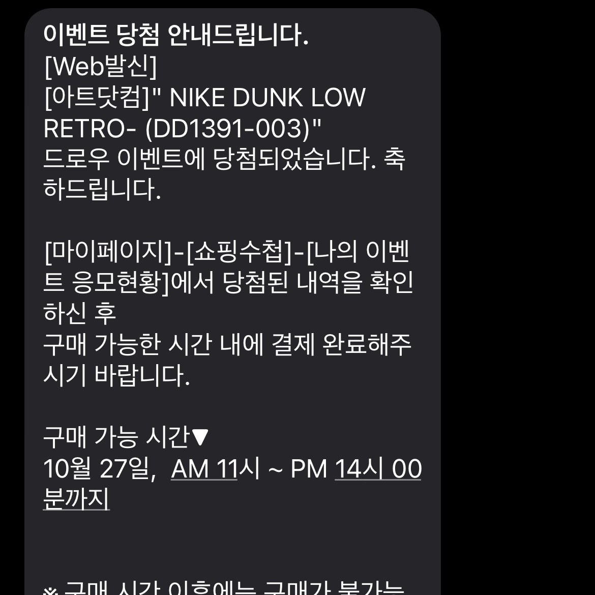 Nike Dunk Low Retro Championship Grey 착용 스타일 - 2