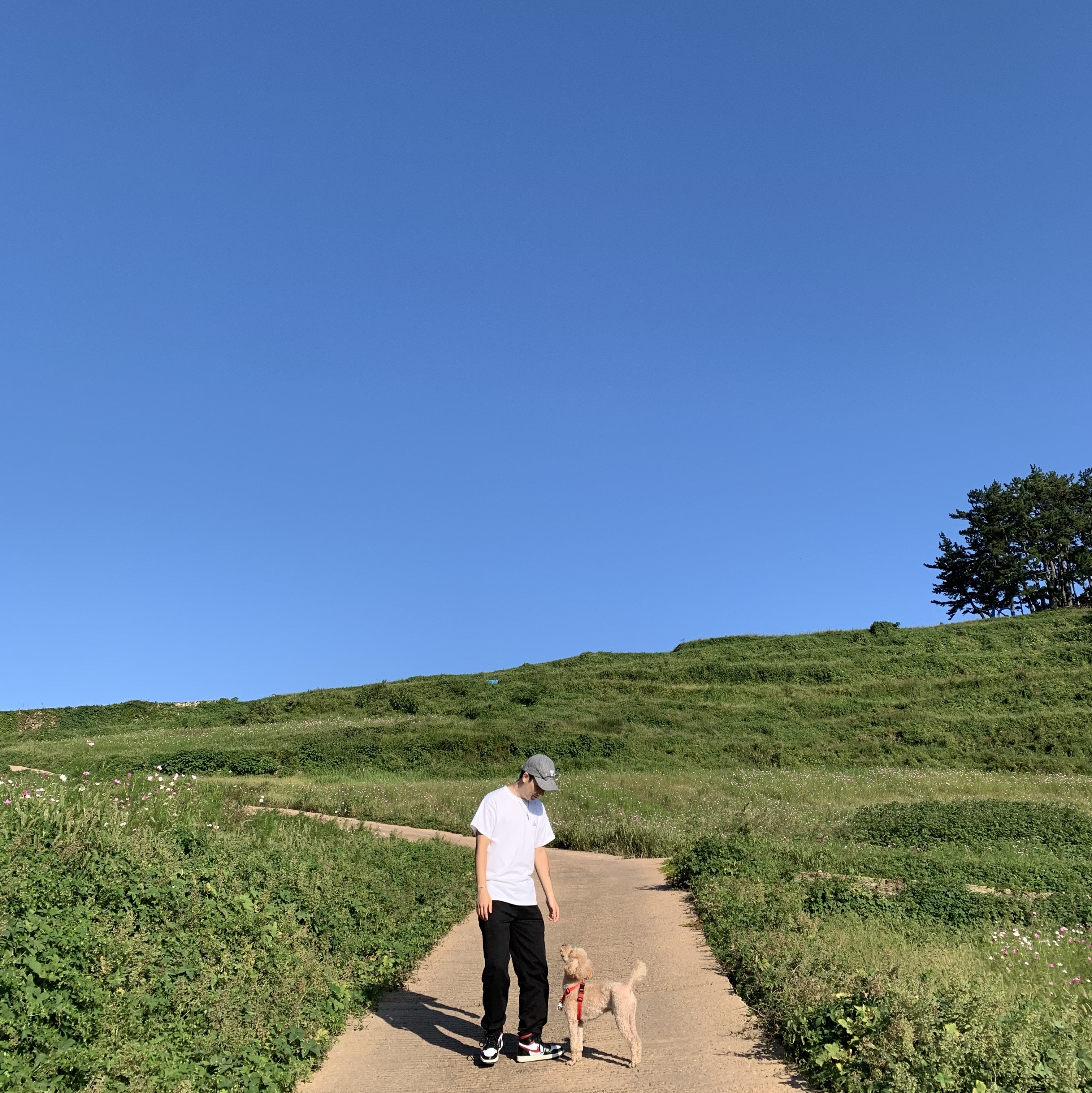 Jordan 1 Retro High OG Gym Red, Nike ACG Logo T-Shirt White Deep Royal Blue - Asia 착용 스타일 - 2