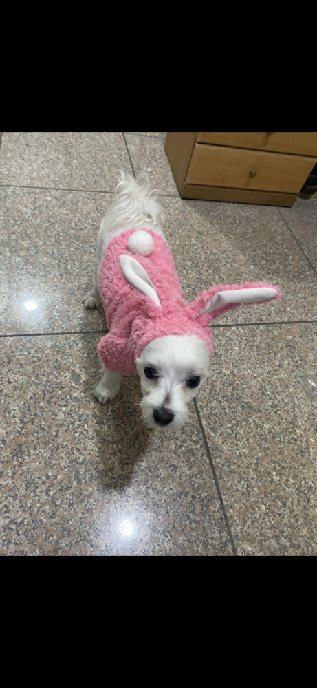 관심 유저 프로필 이미지