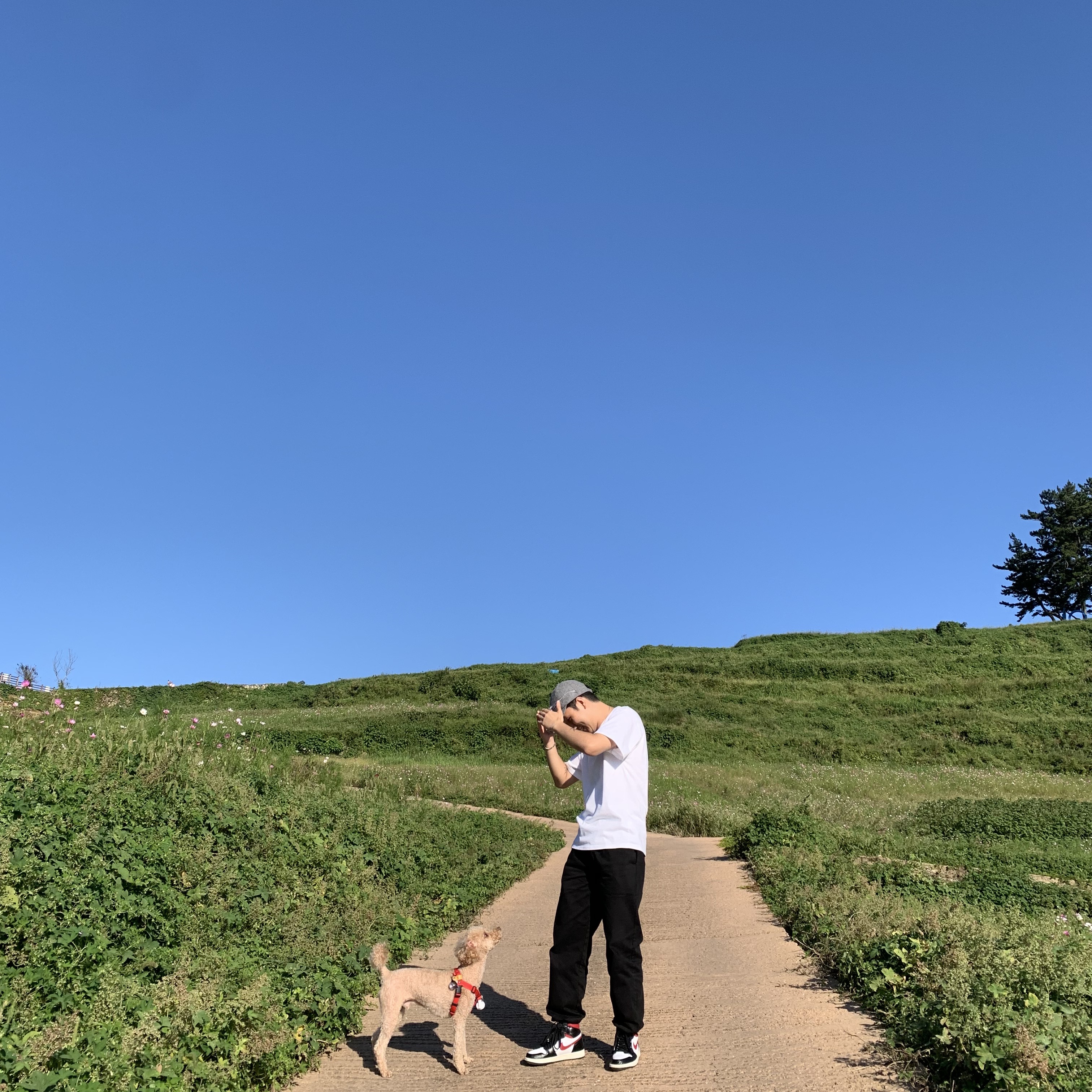Jordan 1 Retro High OG Gym Red, Nike ACG Logo T-Shirt White Deep Royal Blue - Asia 착용 스타일 - 1