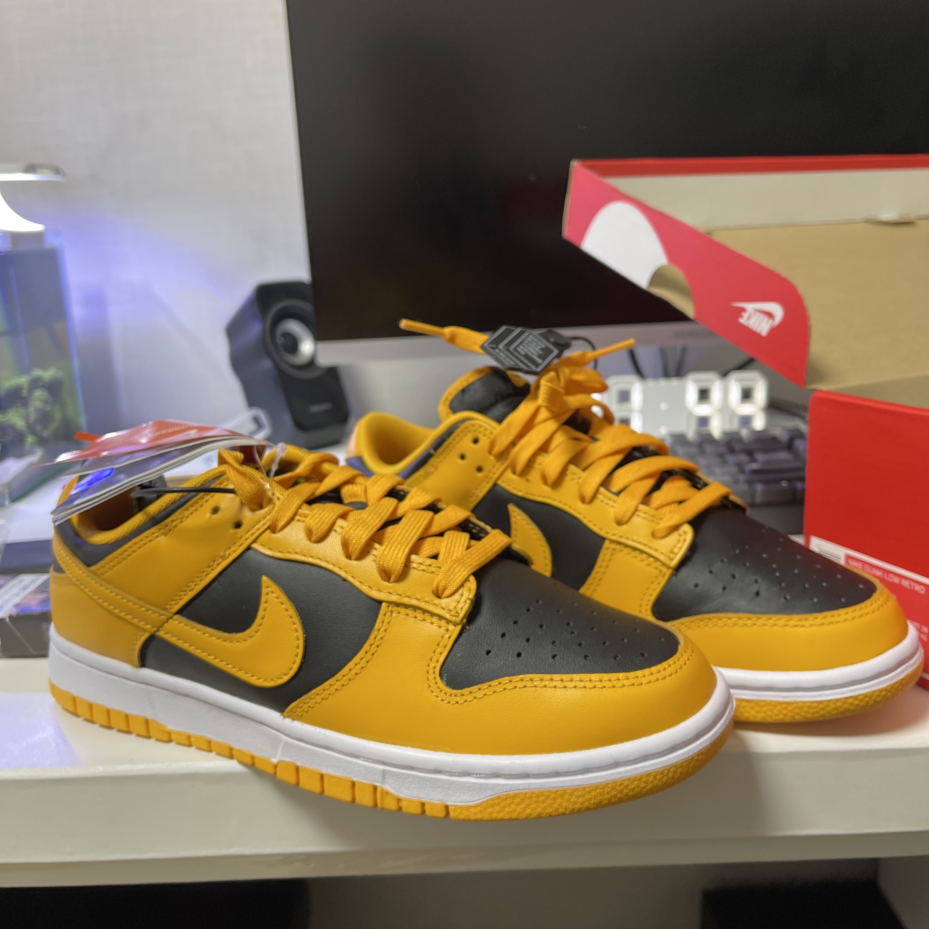 Nike Dunk Low Retro Championship Goldenrod 착용 스타일