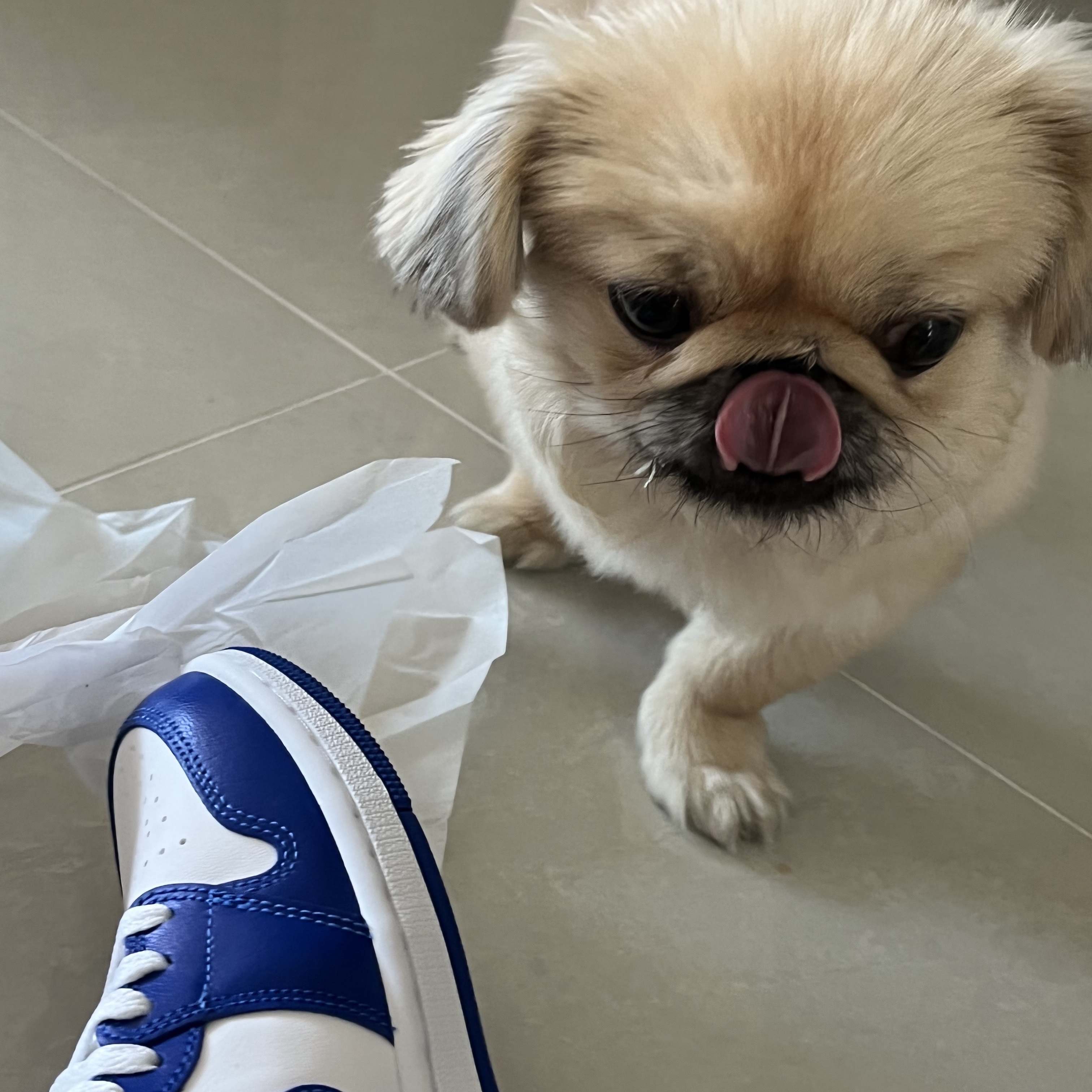 (W) Jordan 1 Mid White Hyper Royal 착용 스타일 - 2