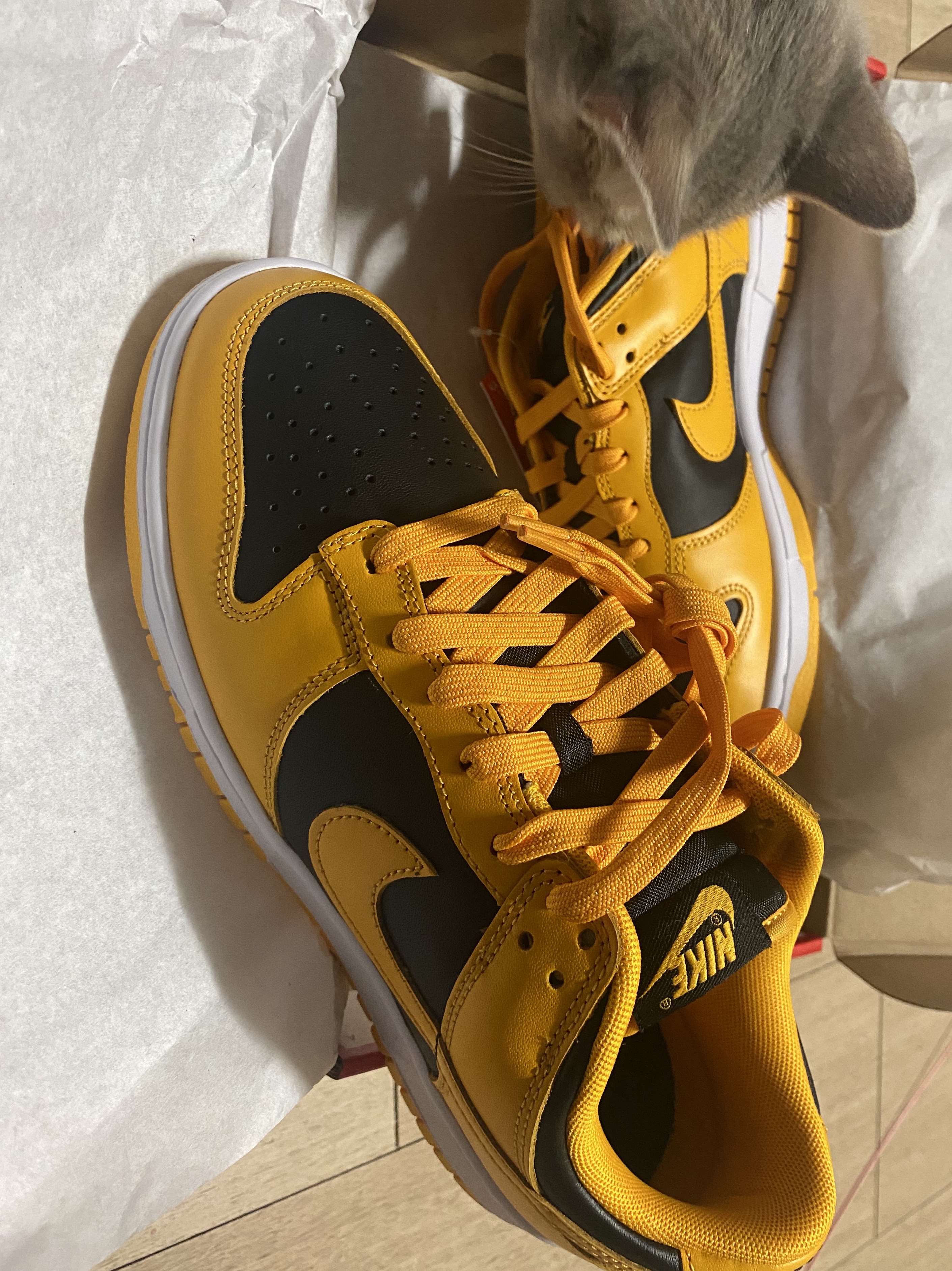 Nike Dunk Low Retro Championship Goldenrod 착용 스타일