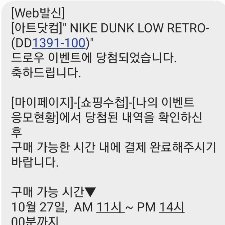 Nike Dunk Low Retro Black, (PS) Nike Dunk Low Black 착용 스타일 - 3