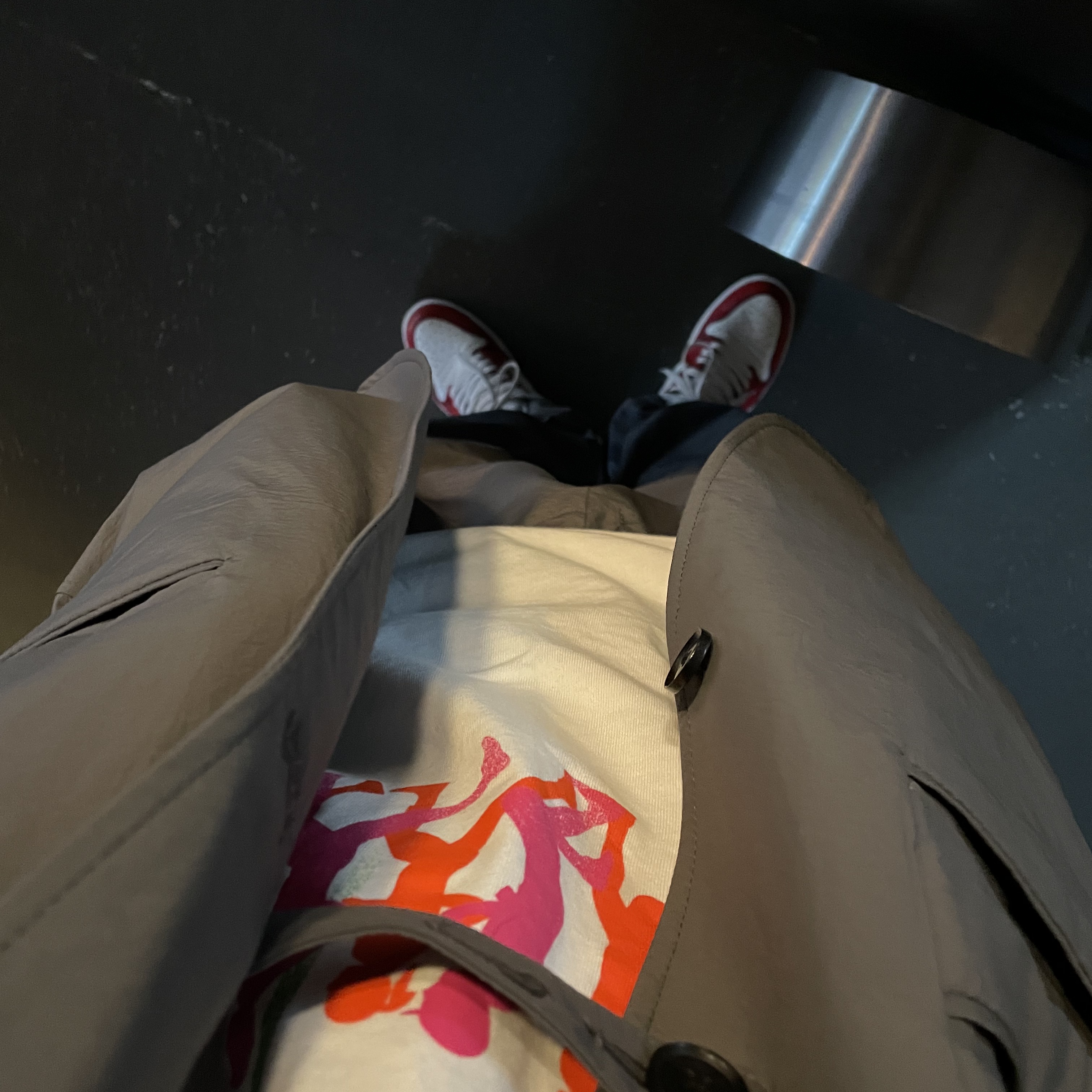 Jordan 1 Retro High OG Defiant SB LA to Chicago, Nike x Stussy Douglas Firs to Palm Trees T-Shirt - US/EU 착용 스타일