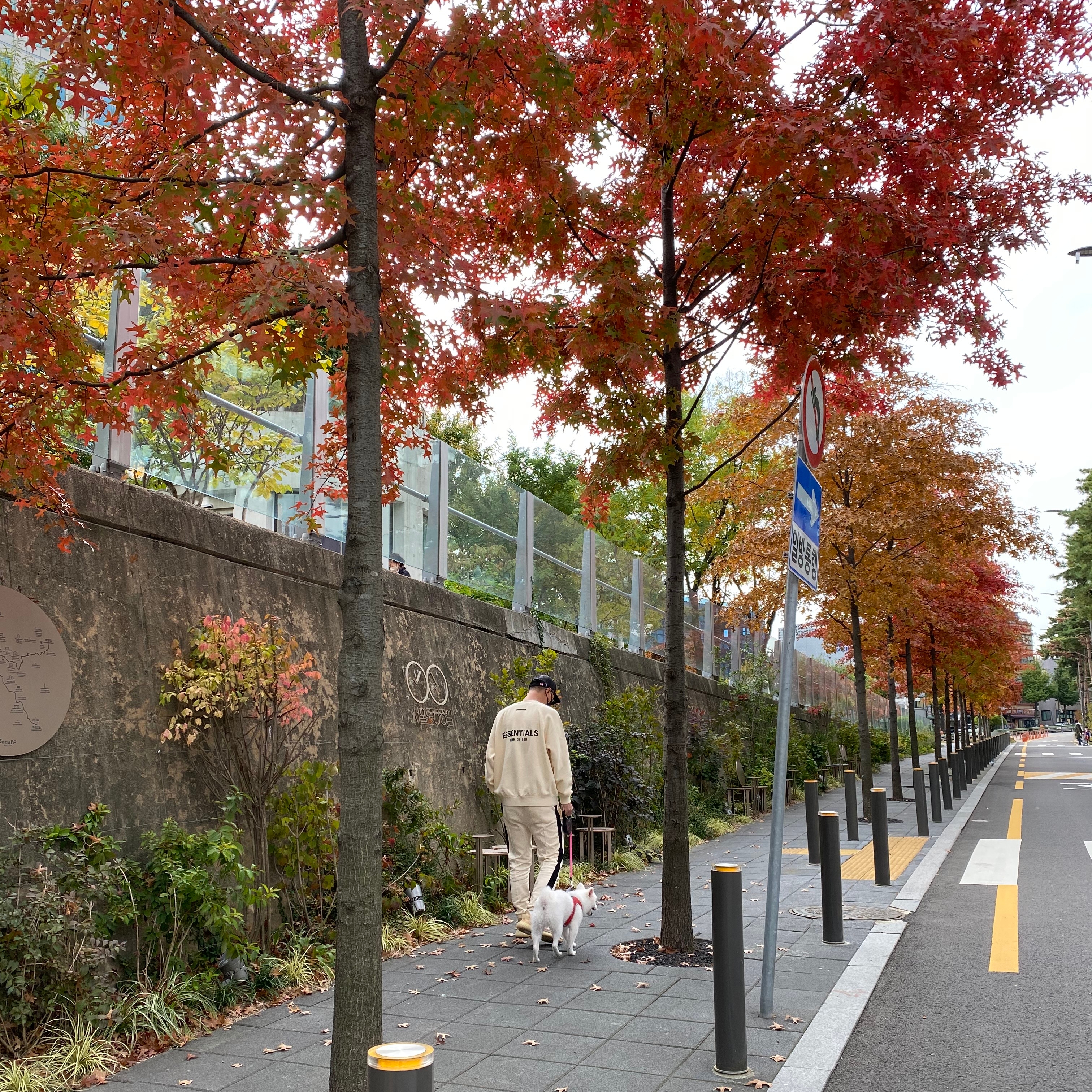 Essentials Pull-Over Crewneck Sweatshirt Cream - 21SS, Adidas Yeezy Boost 350 V2 MX Oat 착용 스타일 - 2