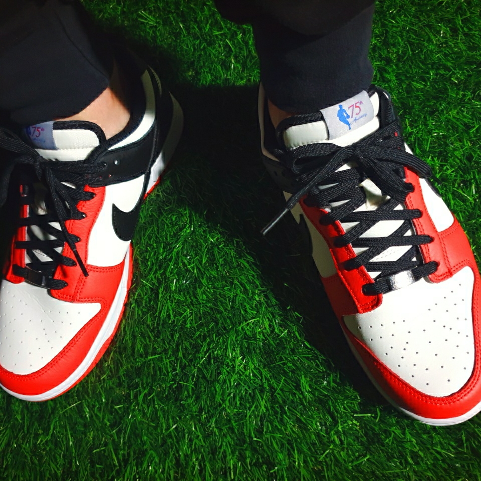 Nike x NBA Dunk Low Retro EMB Black and Chile Red 착용 스타일 - 4