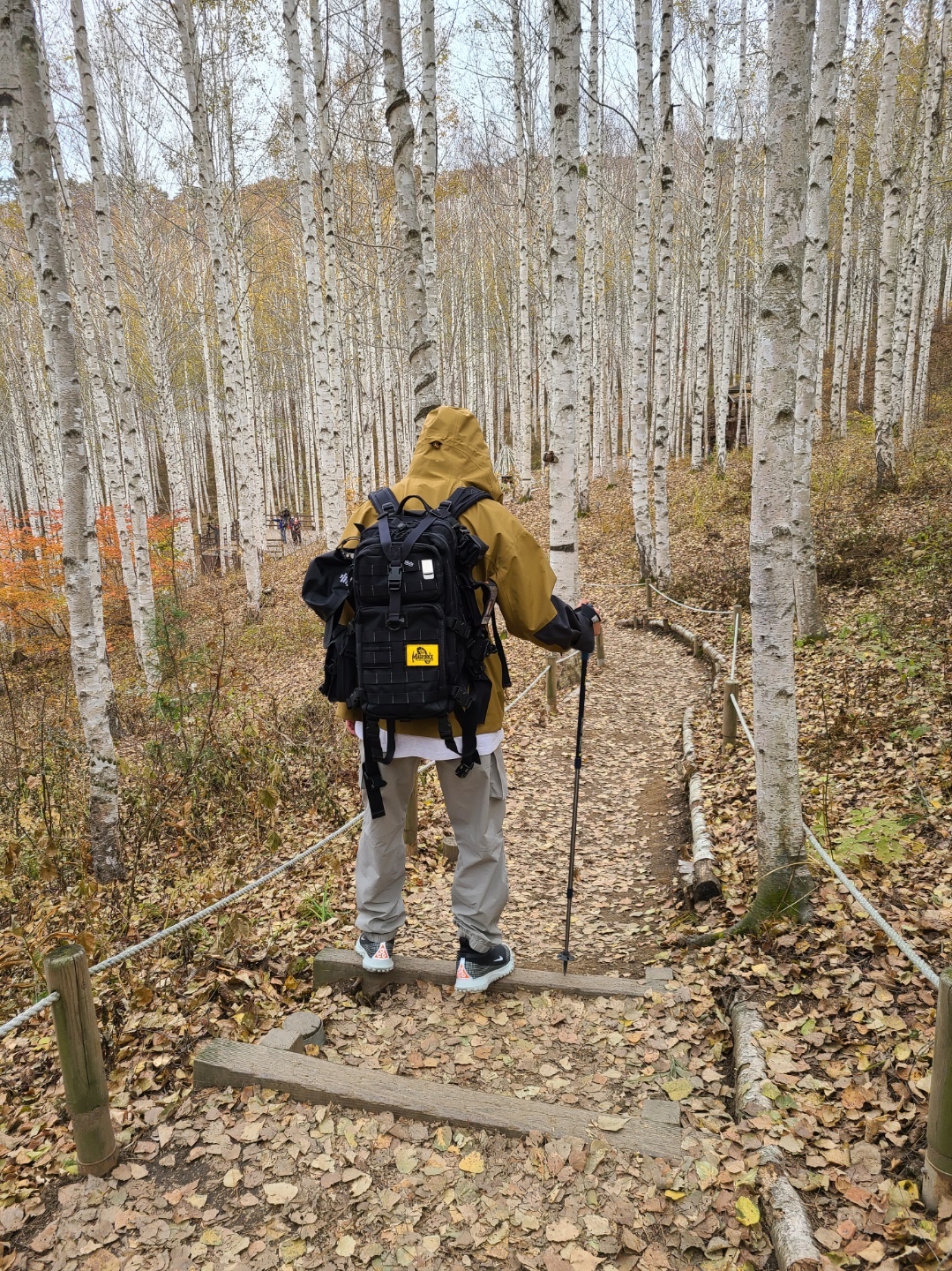 Nike ACG Mountain Fly Gore-Tex Metallic Silver, Nike ACG Gore-Tex Misery Ridge Jacket Golden Beige - US/EU 착용 스타일 - 2