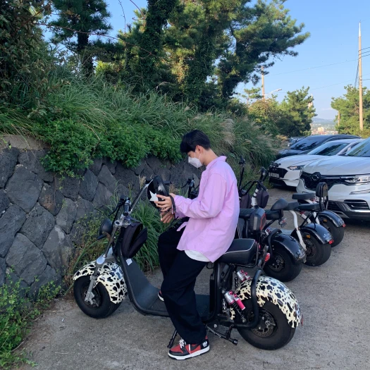 스타일 카드
