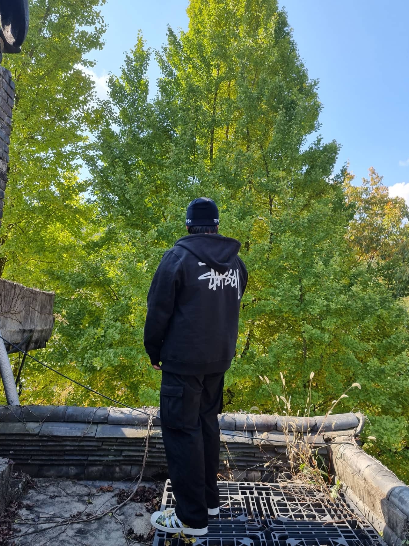 Adidas x BAPE Superstar 80s Green Camo, Stussy Basic Stussy Zip Hoodie Black 2021 착용 스타일