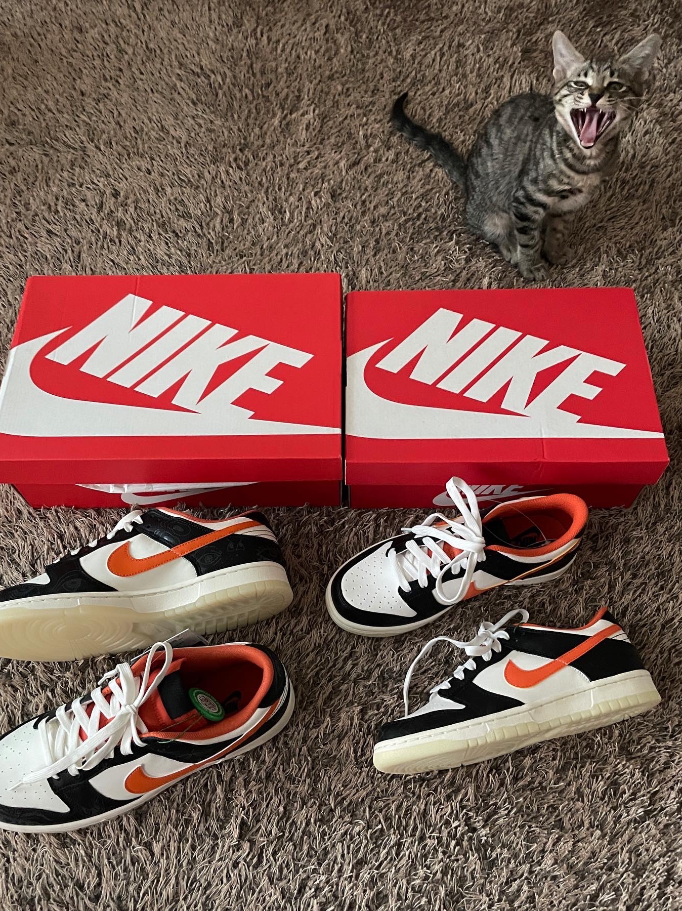 Nike Dunk Low Retro PRM Halloween, (GS) Nike Dunk Low PRM Halloween 착용 스타일 - 4