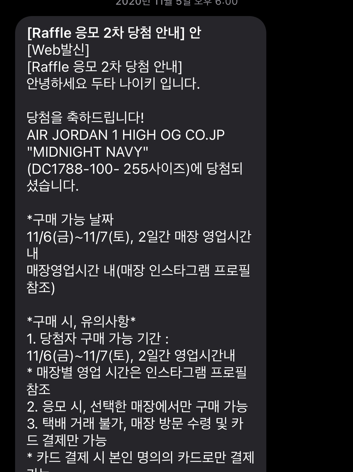 Jordan 1 Retro High OG CO.JP Midnight Navy 착용 스타일 - 3