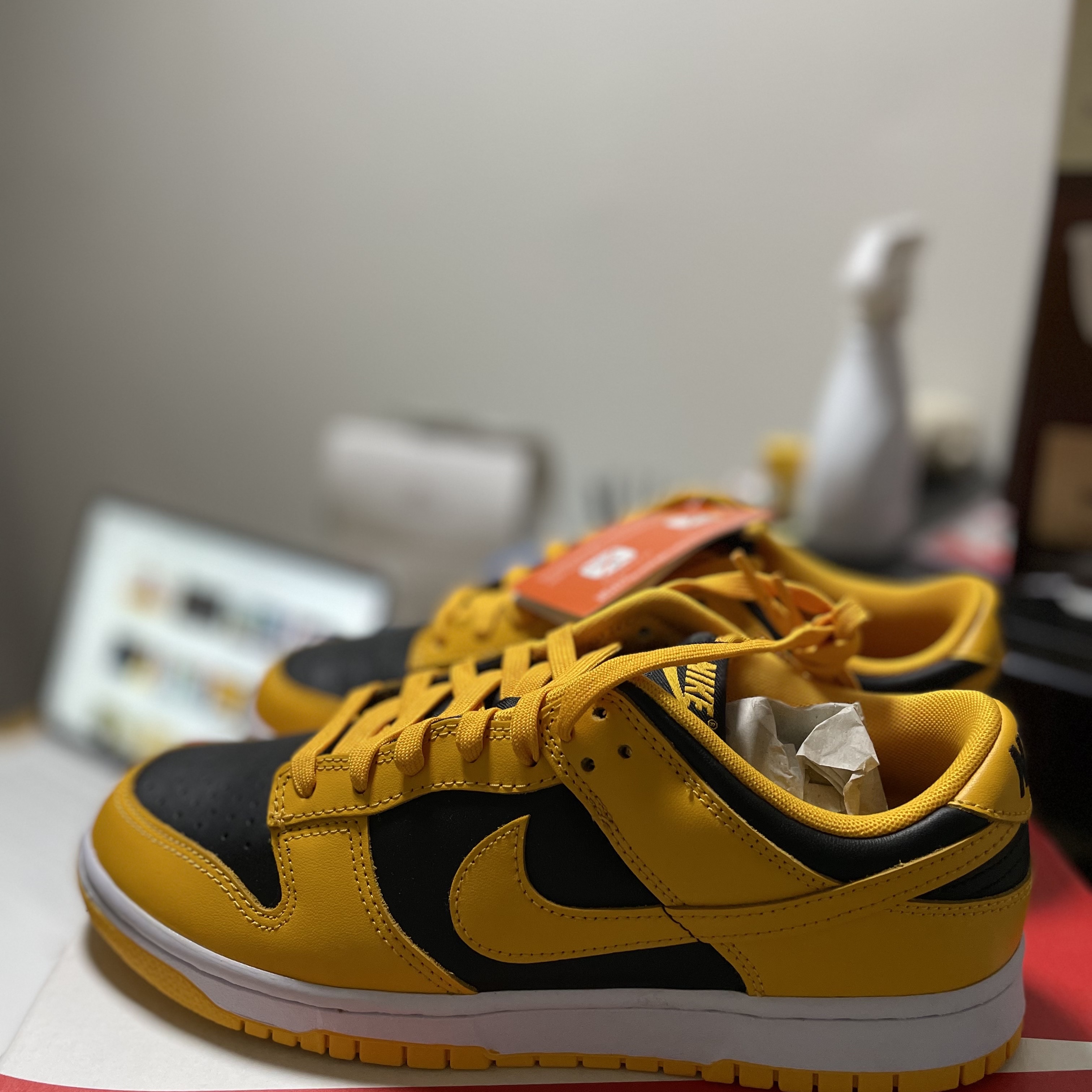 Nike Dunk Low Retro Championship Goldenrod 착용 스타일