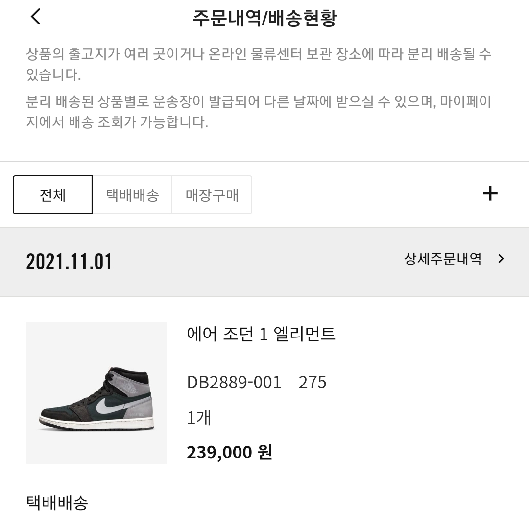 Jordan 1 Element Gore-Tex Particle Grey 착용 스타일