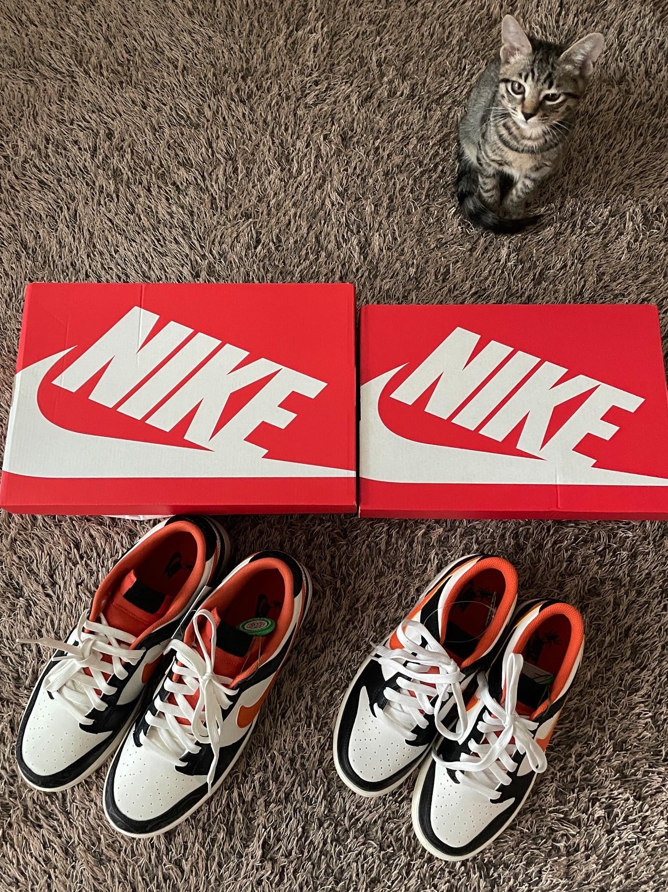 Nike Dunk Low Retro PRM Halloween, (GS) Nike Dunk Low PRM Halloween 착용 스타일 - 3
