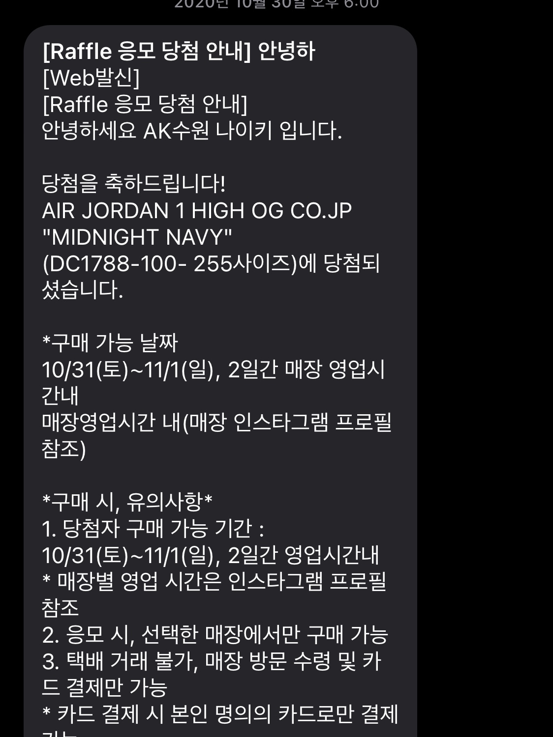 Jordan 1 Retro High OG CO.JP Midnight Navy 착용 스타일 - 2
