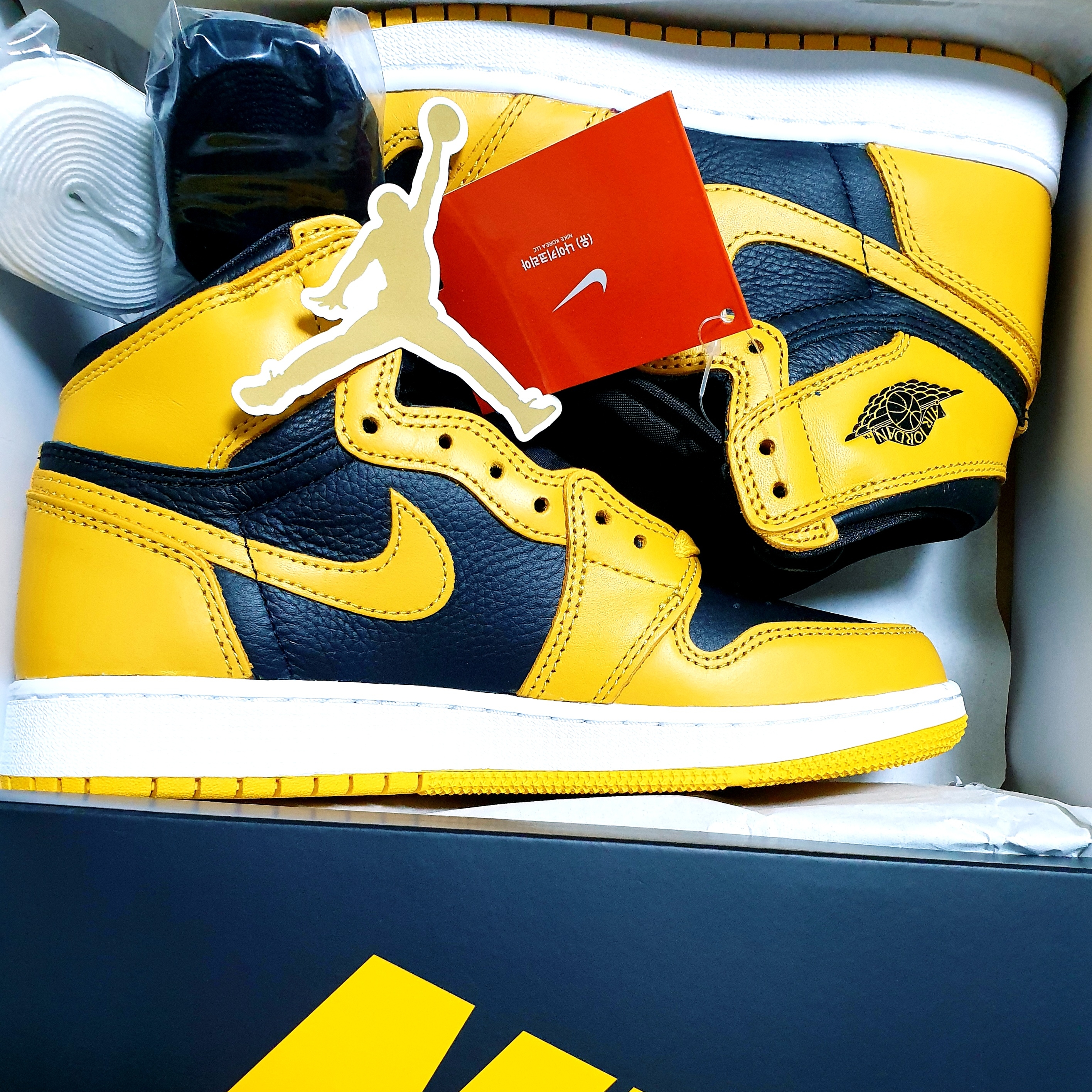 Jordan 1 Retro High OG Pollen 착용 스타일